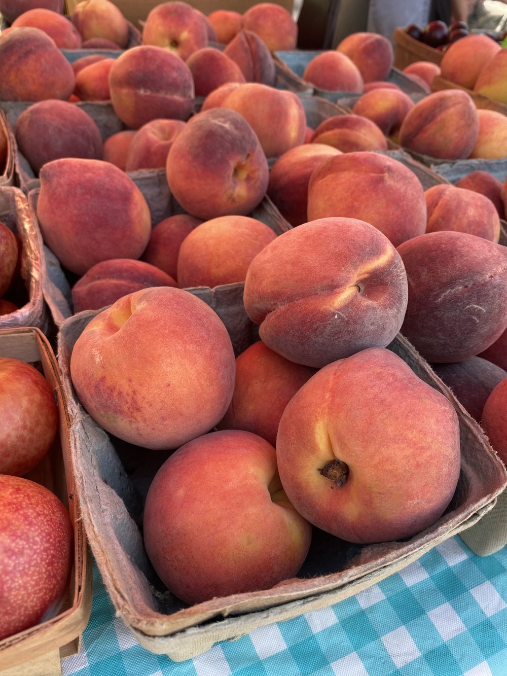 Fisher Farm and Ranch