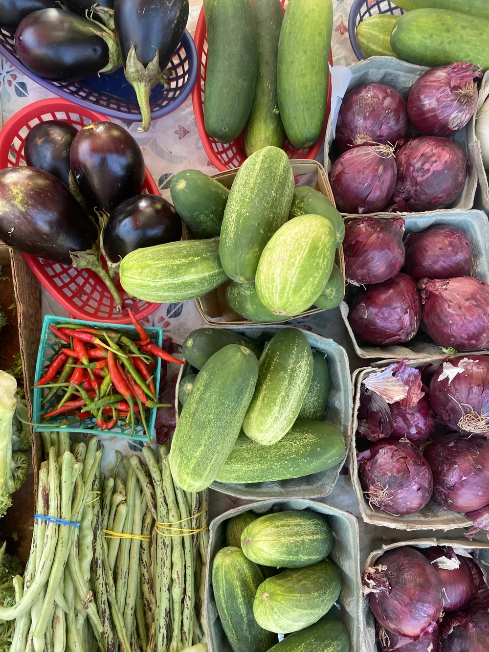 Fisher Farm and Ranch