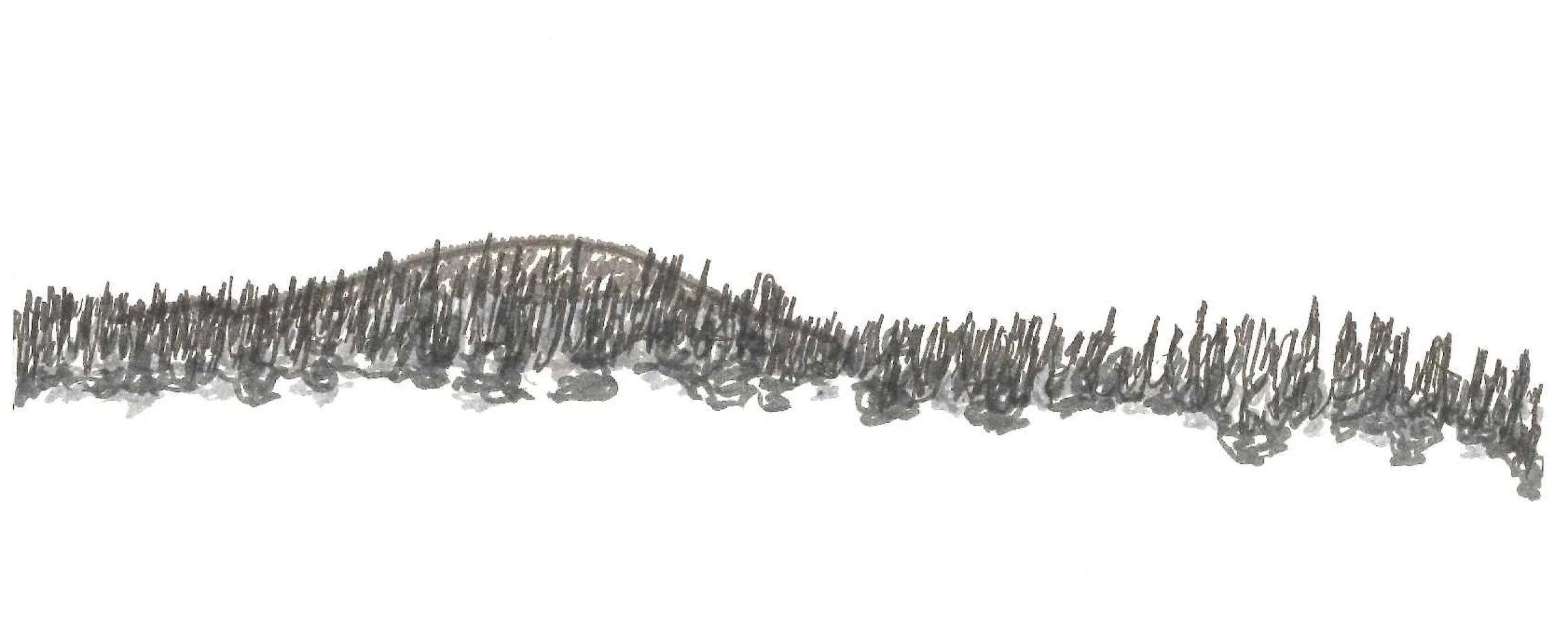 cochetopahills.jpg