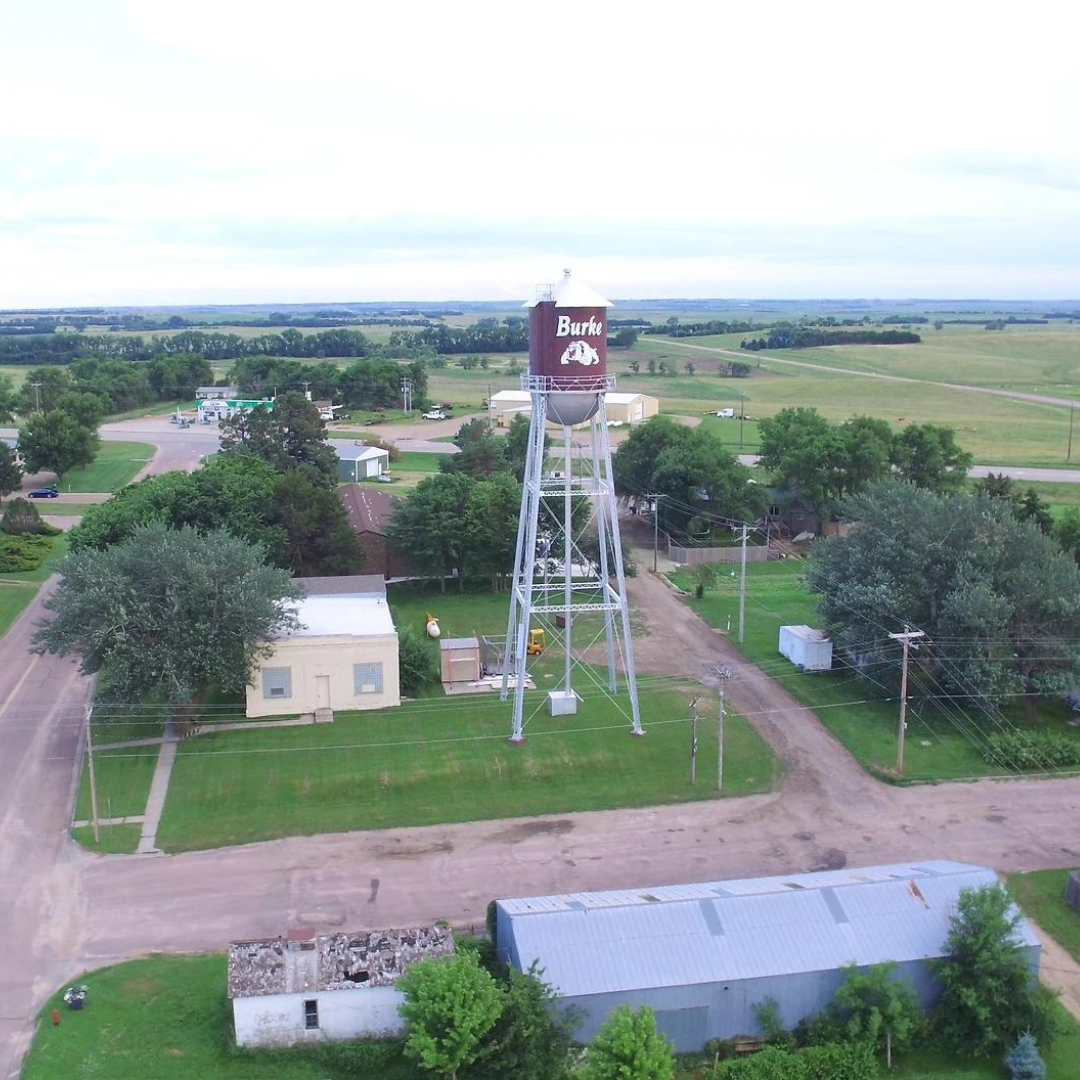 Untitled design (4).png