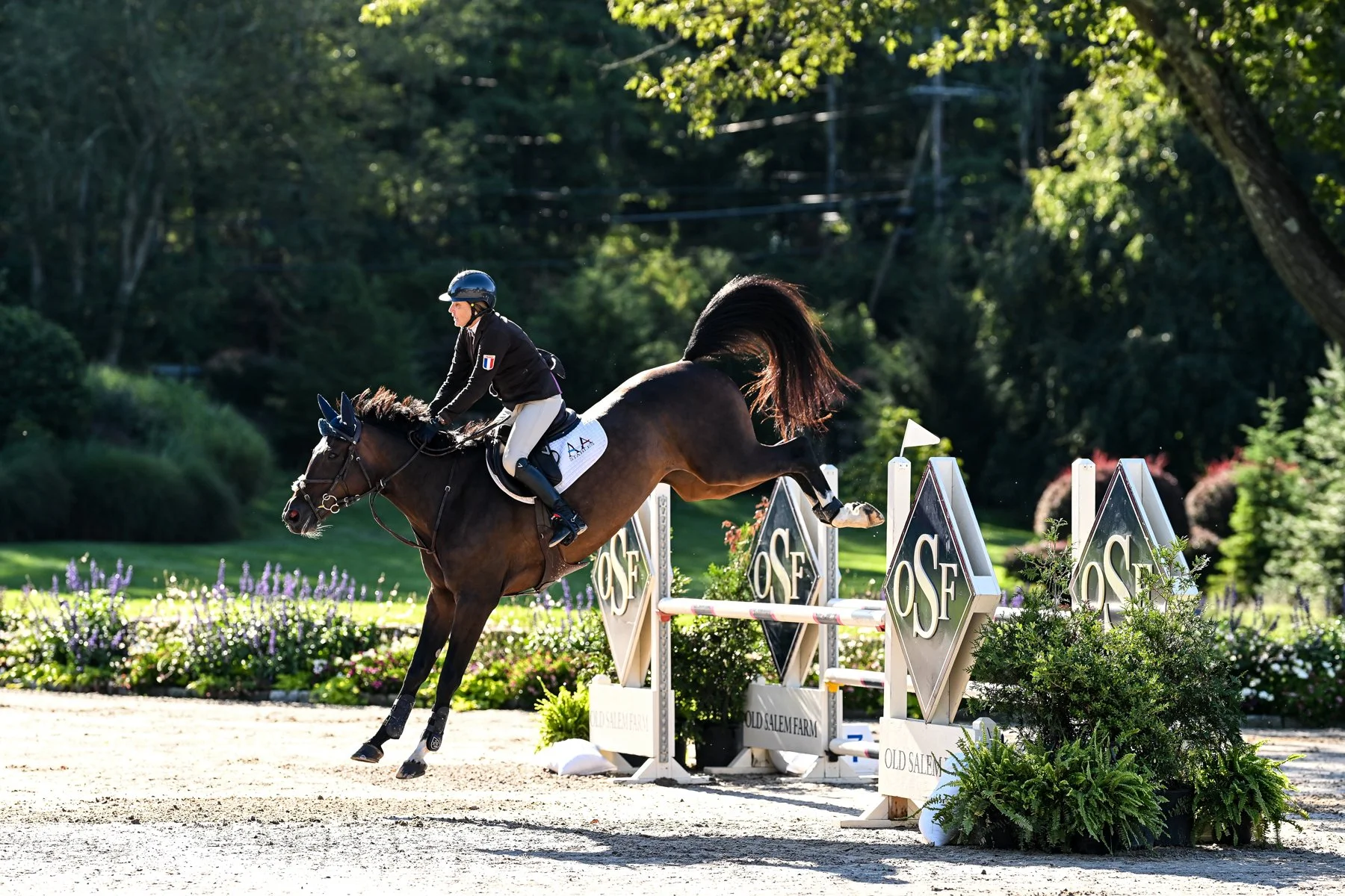 OLD SALEM 2025 BALOU HIND END.jpg