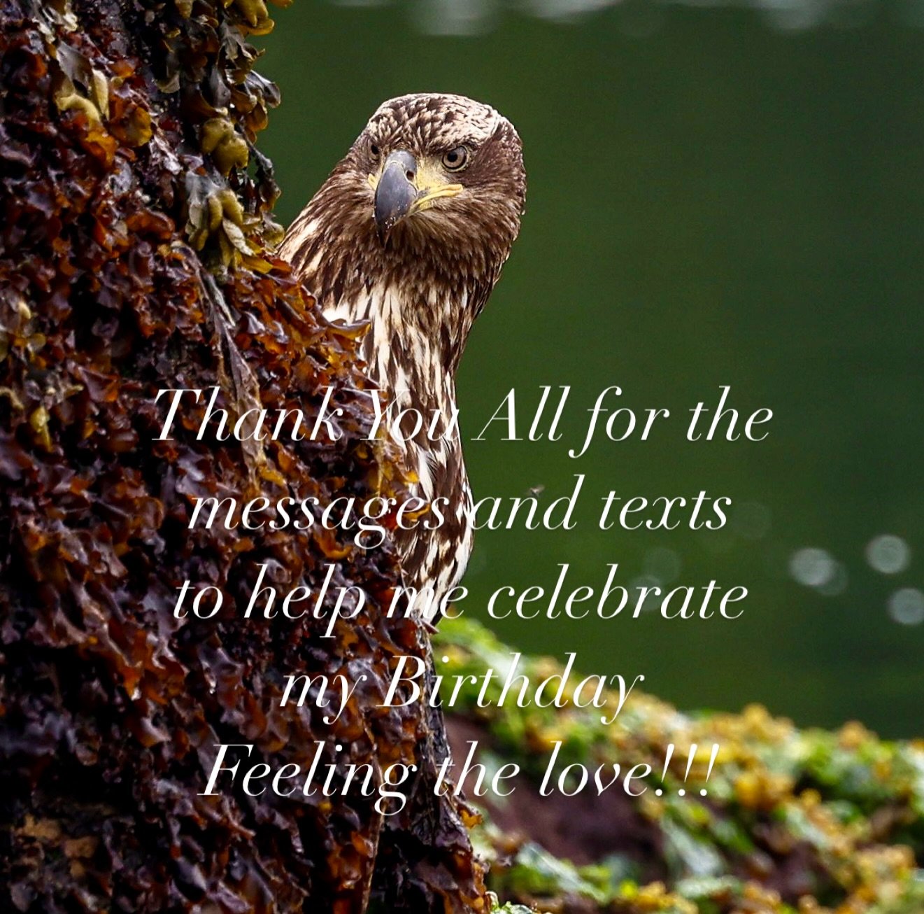 Thank you for the messages and text to wish me a happy Birthday. I had a great day, doing what I love to do, get out in nature.