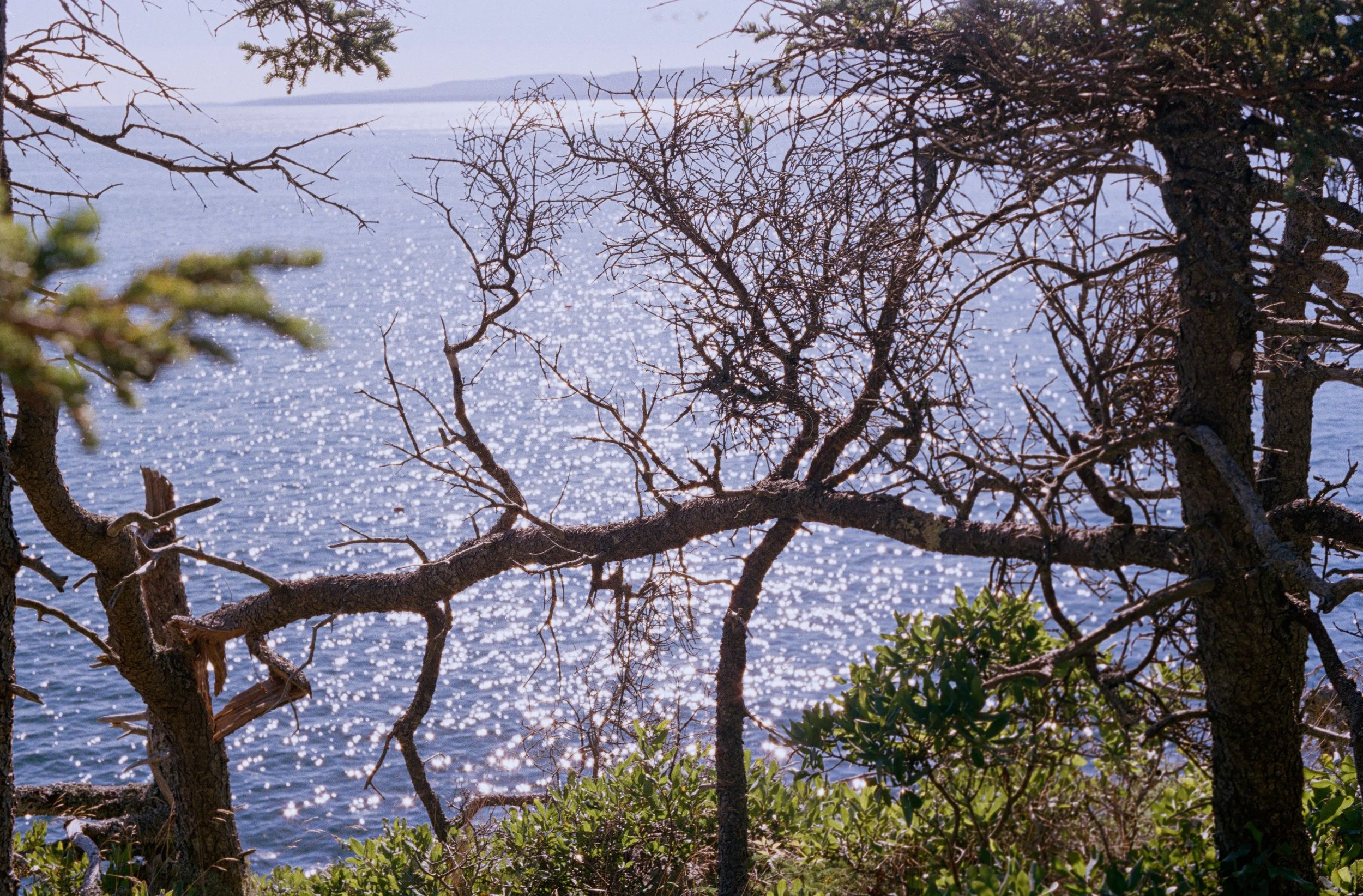 Untitled, from New Eden, 35mm color film photograph. 2025