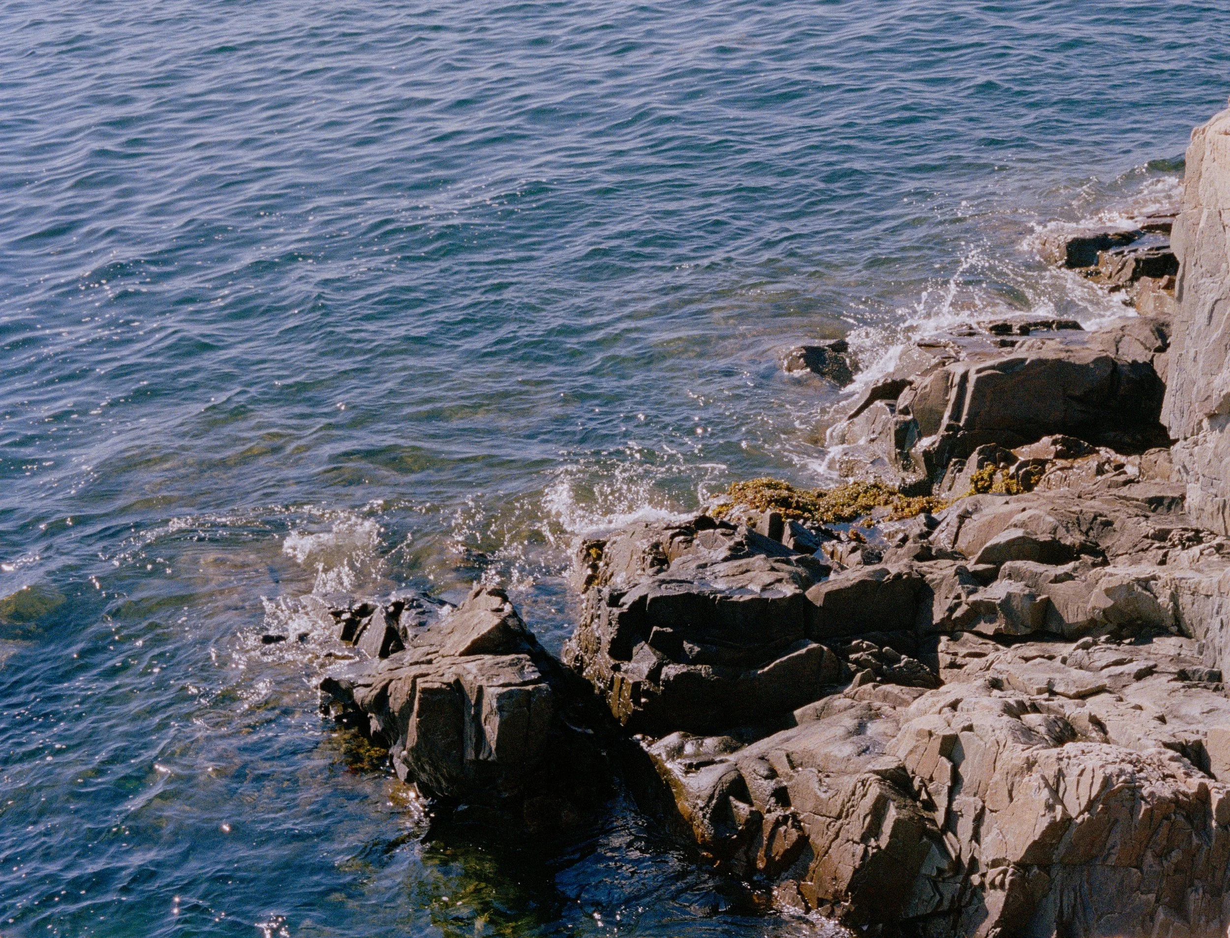 Untitled, from New Eden, 35mm color film photograph. 2025