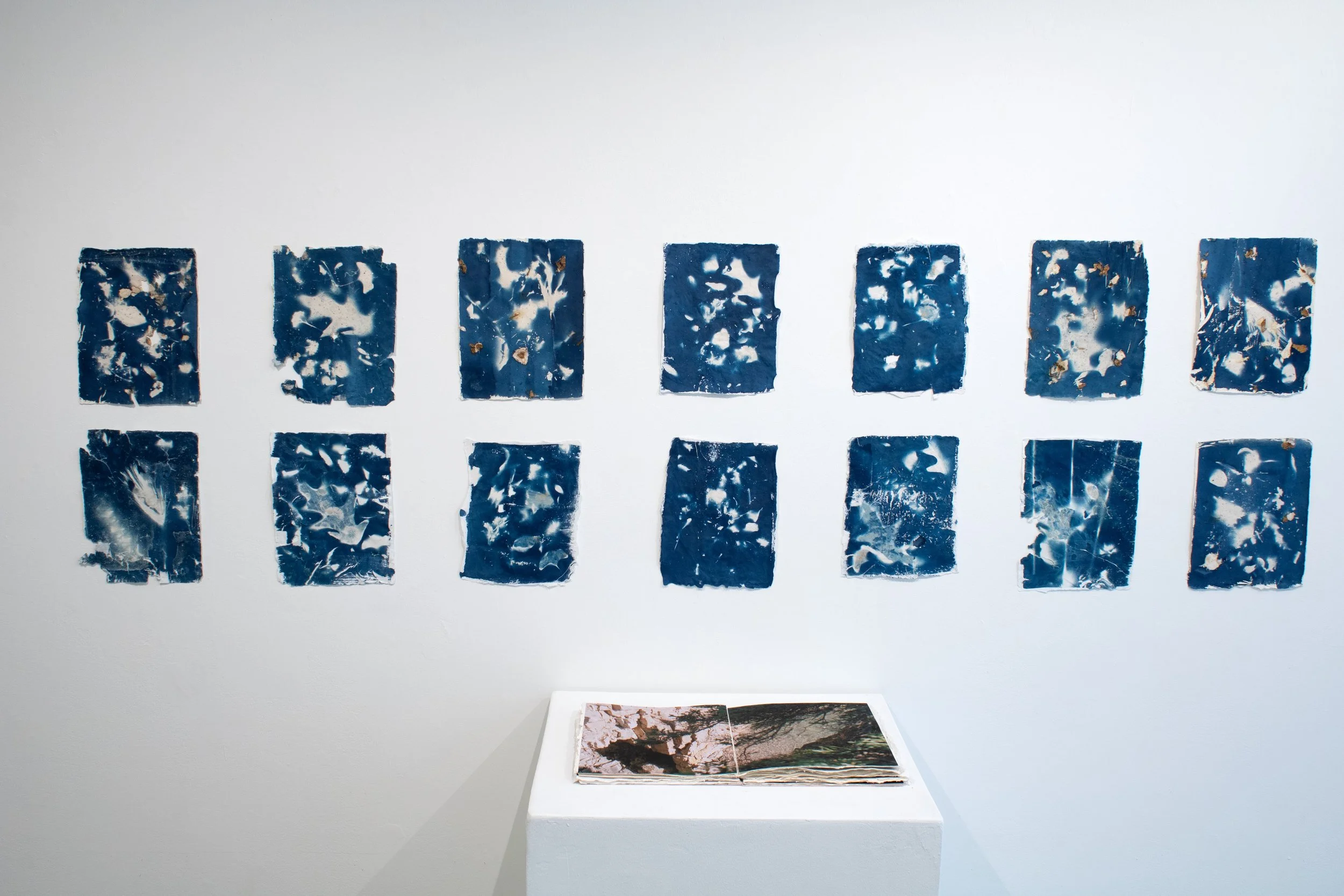 cyanotypes_planetstranger5mb.jpg