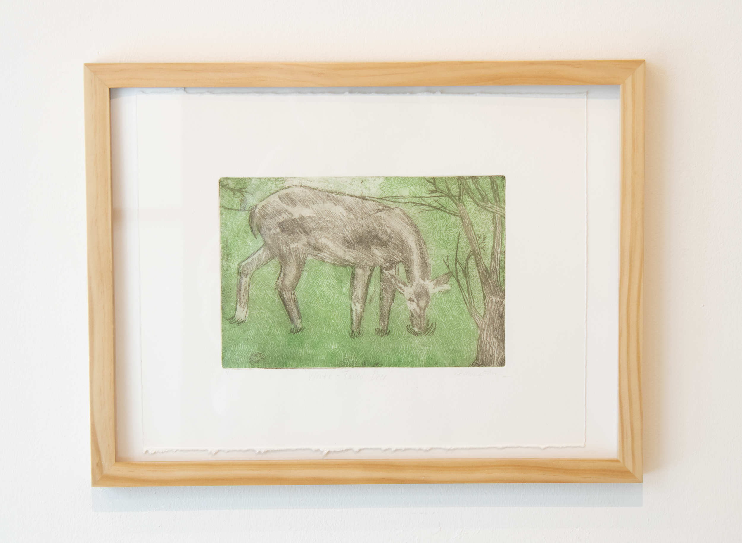 deerframed.png