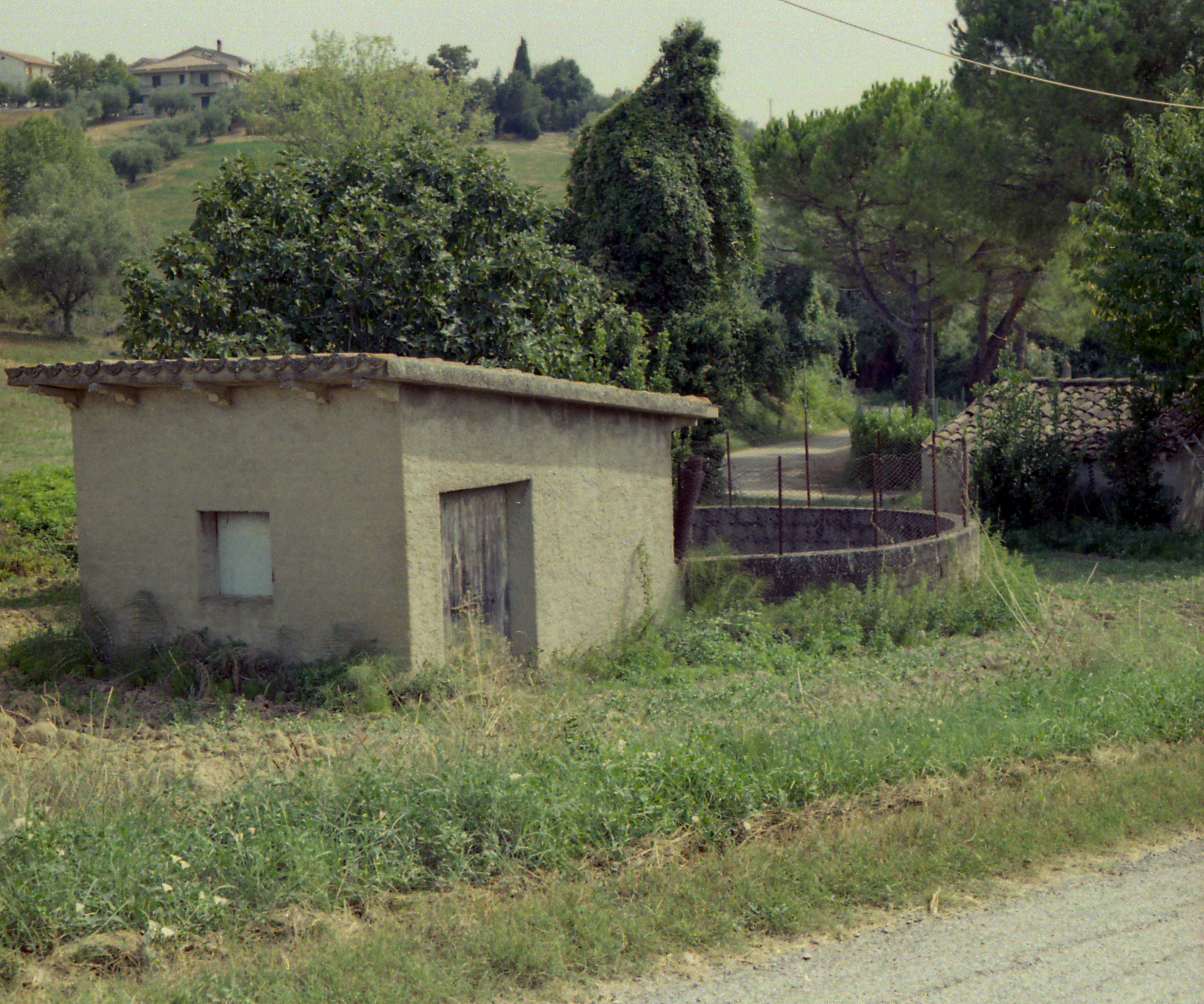 Mosciano Sant'Angelo, from Matrilineal Inheritance, color film photograph. 2024