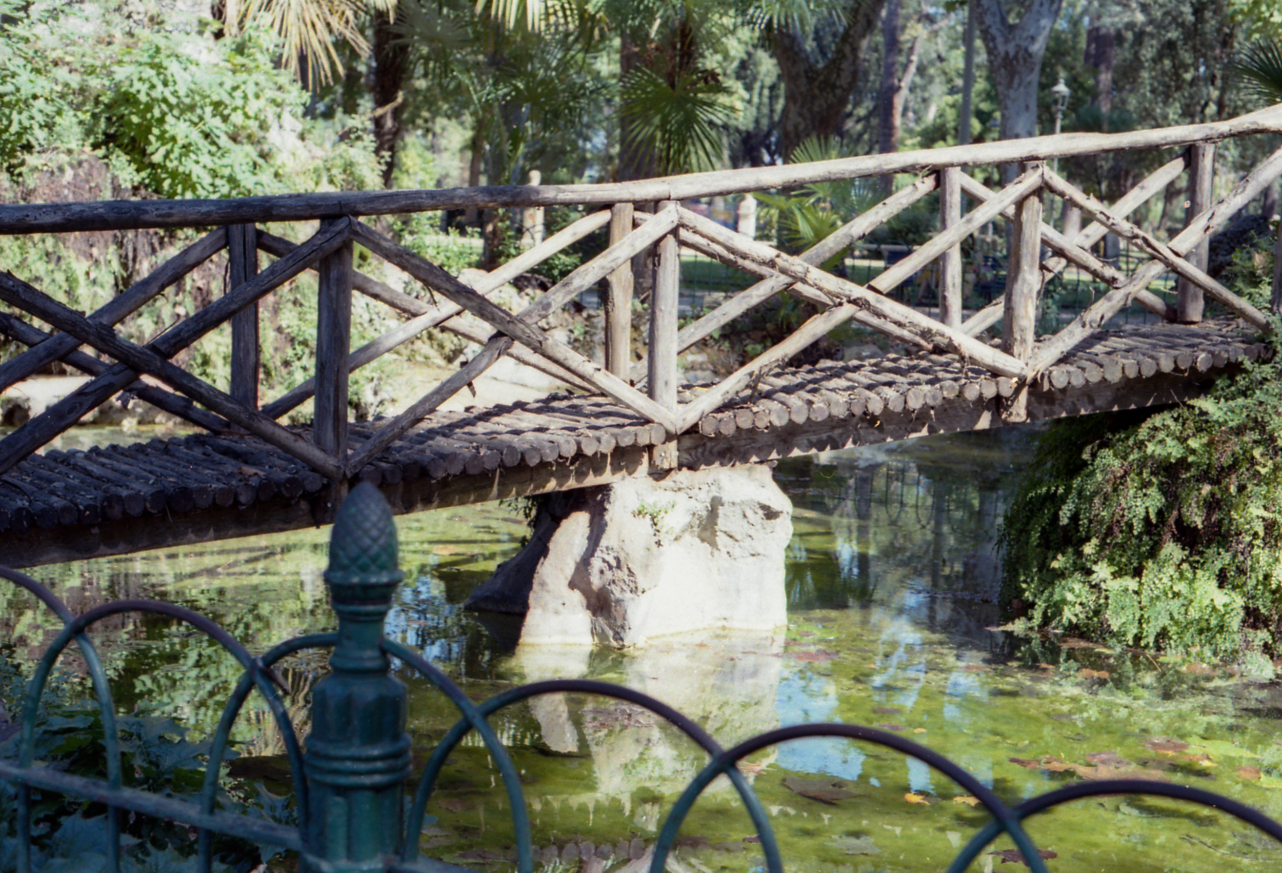 Villa Borghese, , color film photograph. 2024
