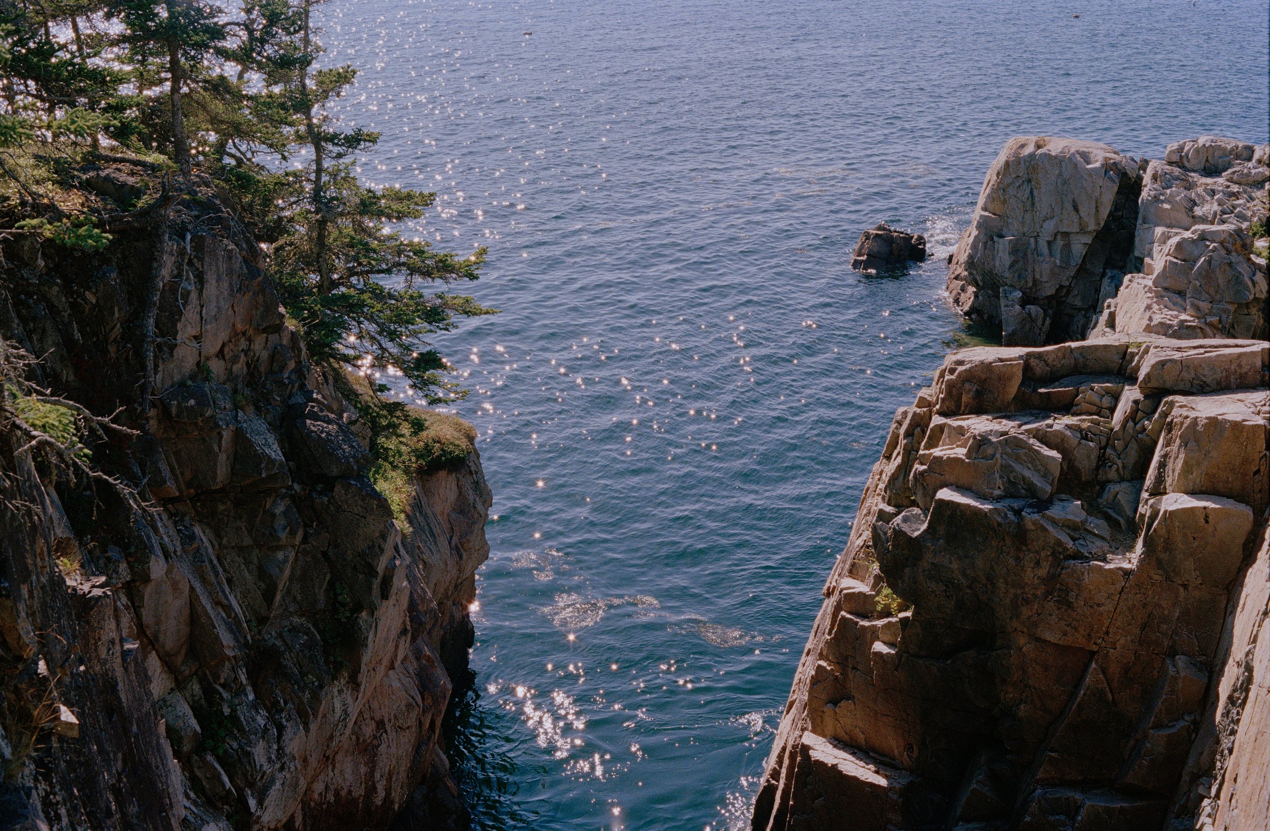 Untitled, from New Eden, 35mm color film photograph. 2025