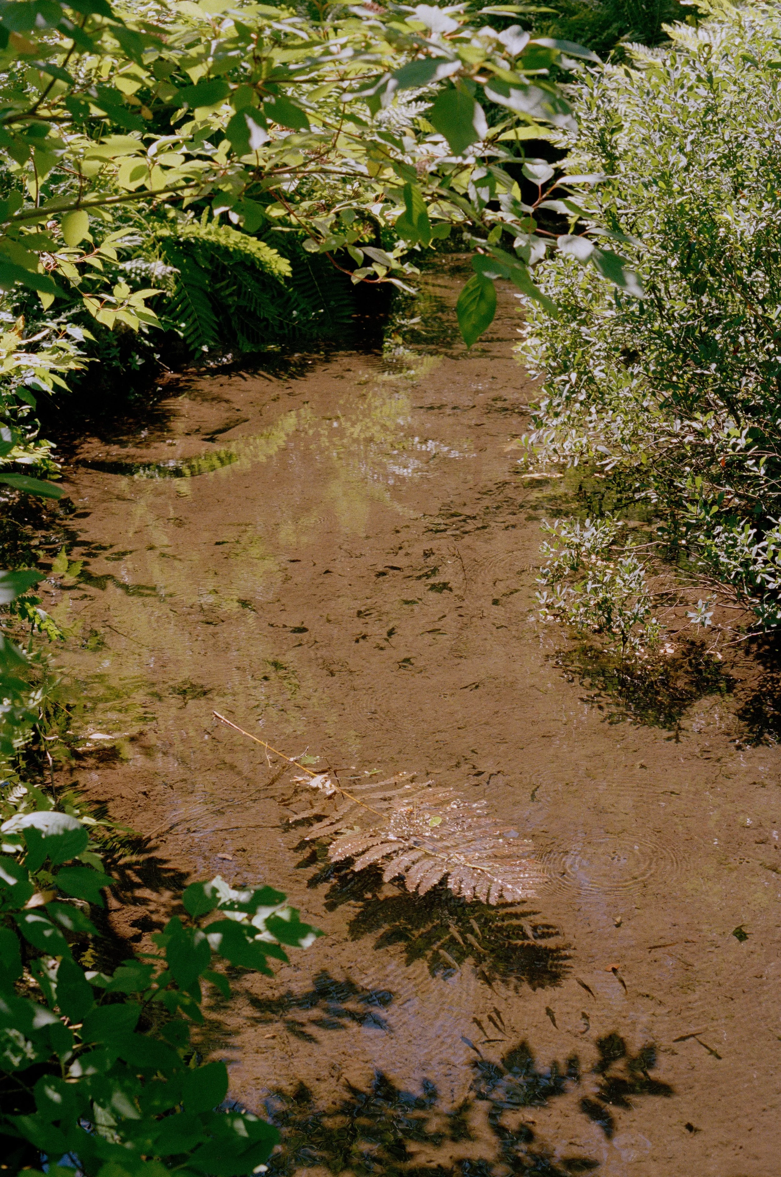 Untitled, from New Eden, 35mm color film photograph. 2025