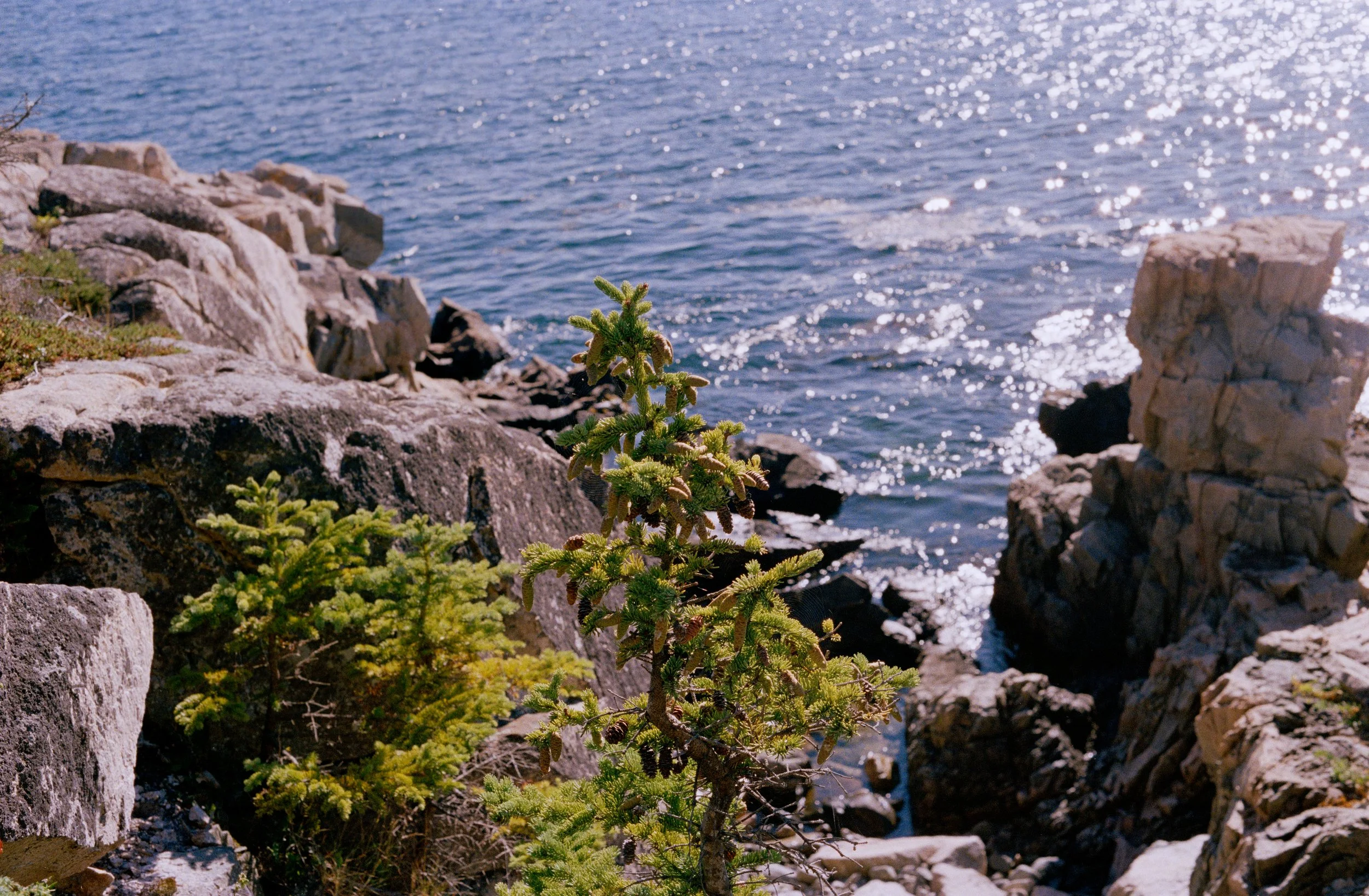 Untitled, from New Eden, 35mm color film photograph. 2025