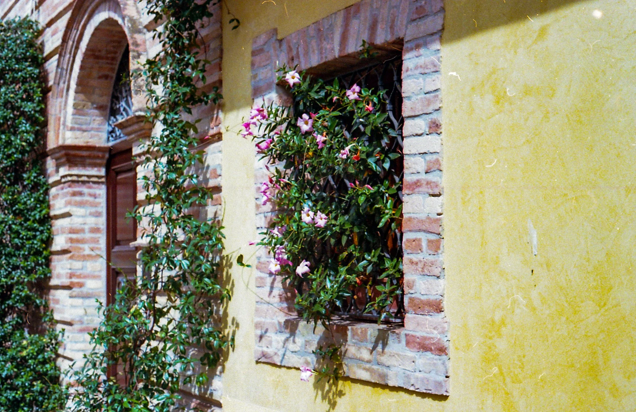 Mosciano Sant'Angelo, color film photograph. 2024