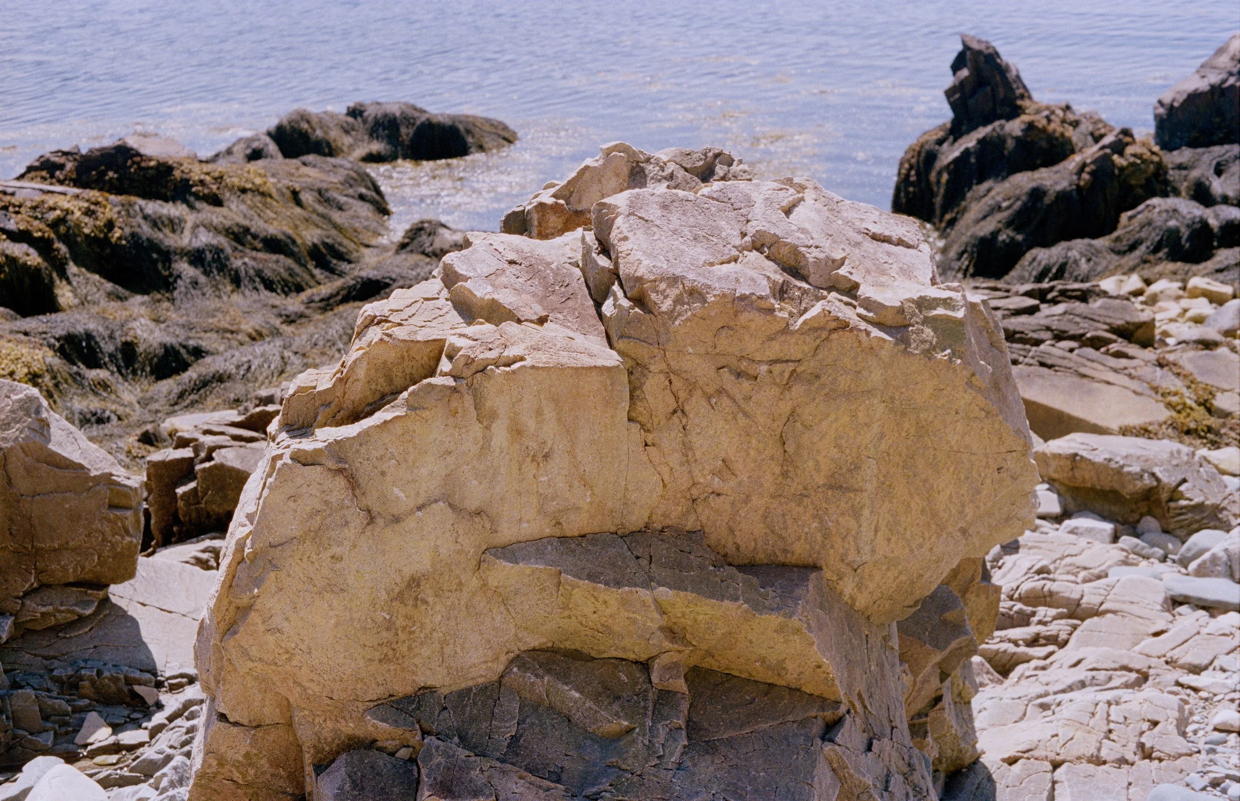 Untitled, from New Eden, 35mm color film photograph. 2025