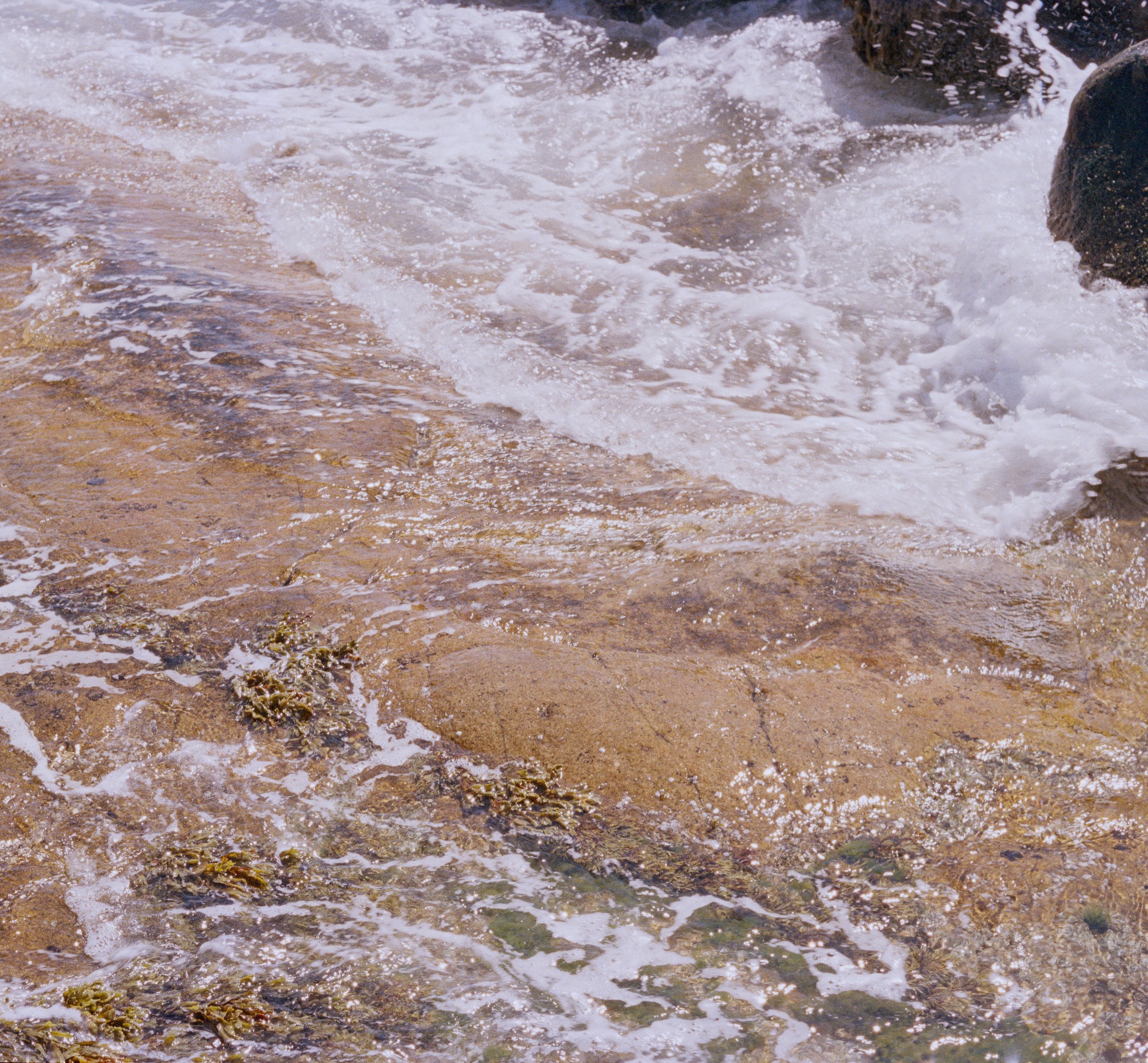 Untitled, from New Eden, 35mm color film photograph. 2025