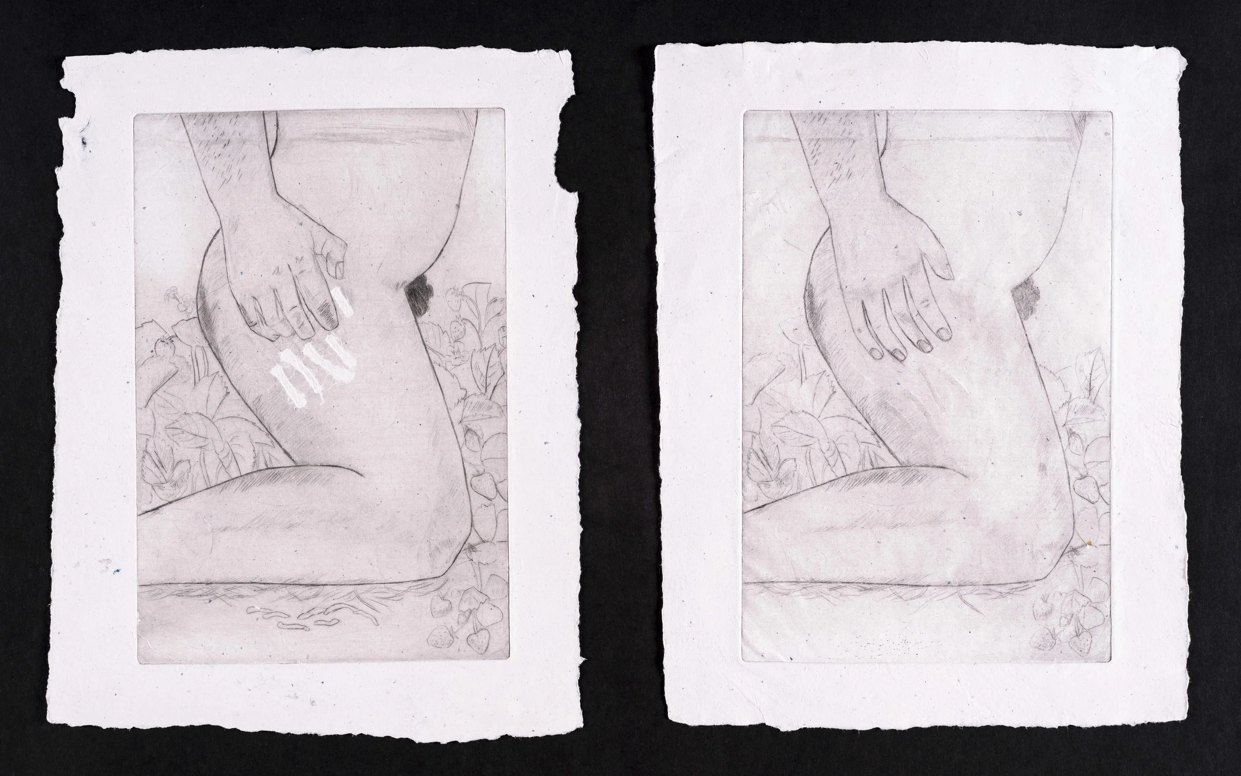 Tiger Stripes, Drypoint on Handmade Recycled Hahnemühle Paper., 2024