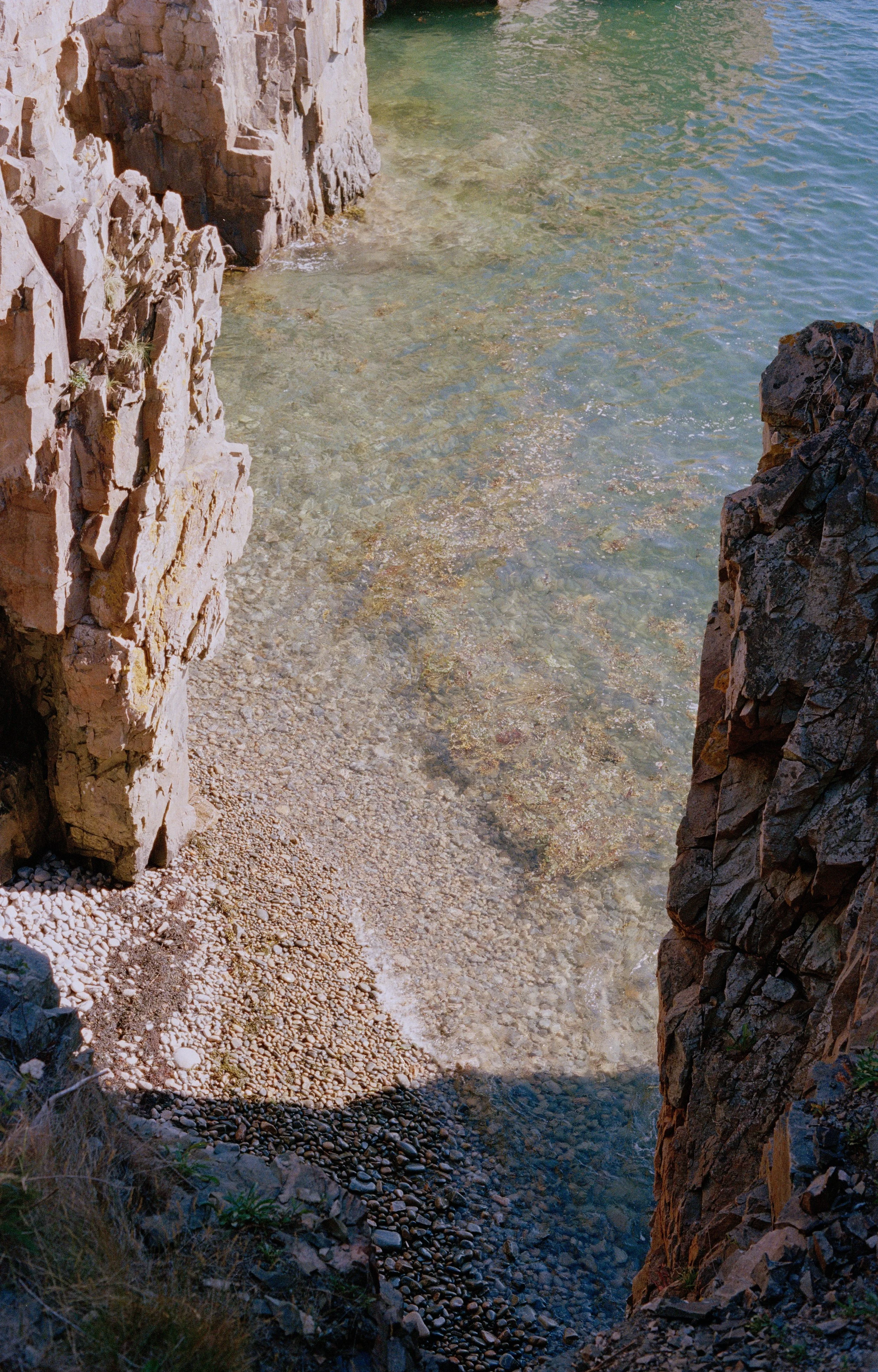 Untitled, from New Eden, 35mm color film photograph. 2025