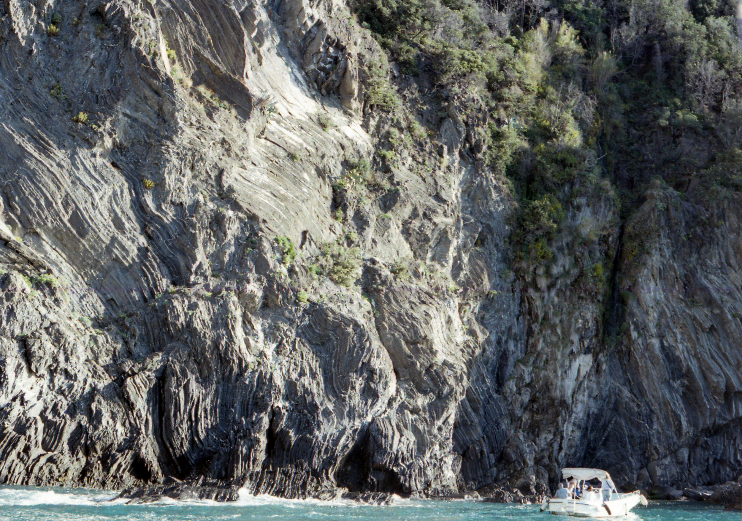 Cinque Terre, color film photograph. 2024