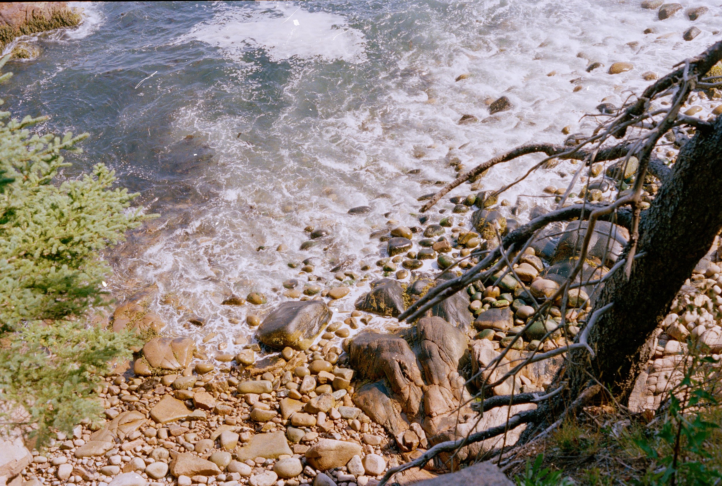 Untitled, from New Eden, 35mm color film photograph. 2025