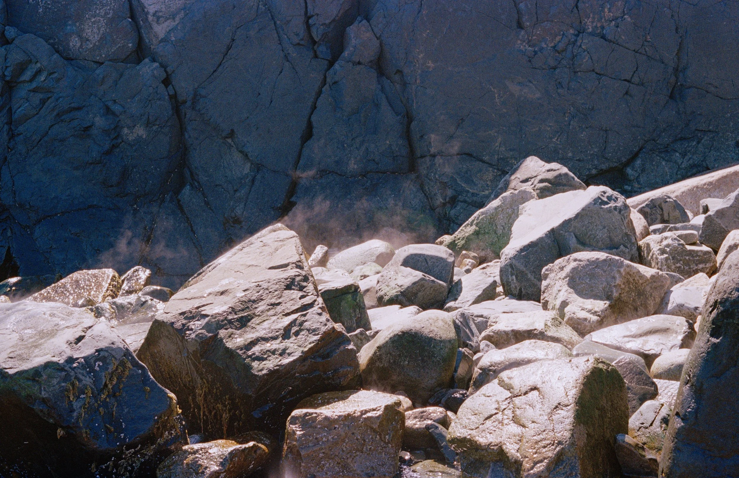 Untitled, from New Eden, 35mm color film photograph. 2025