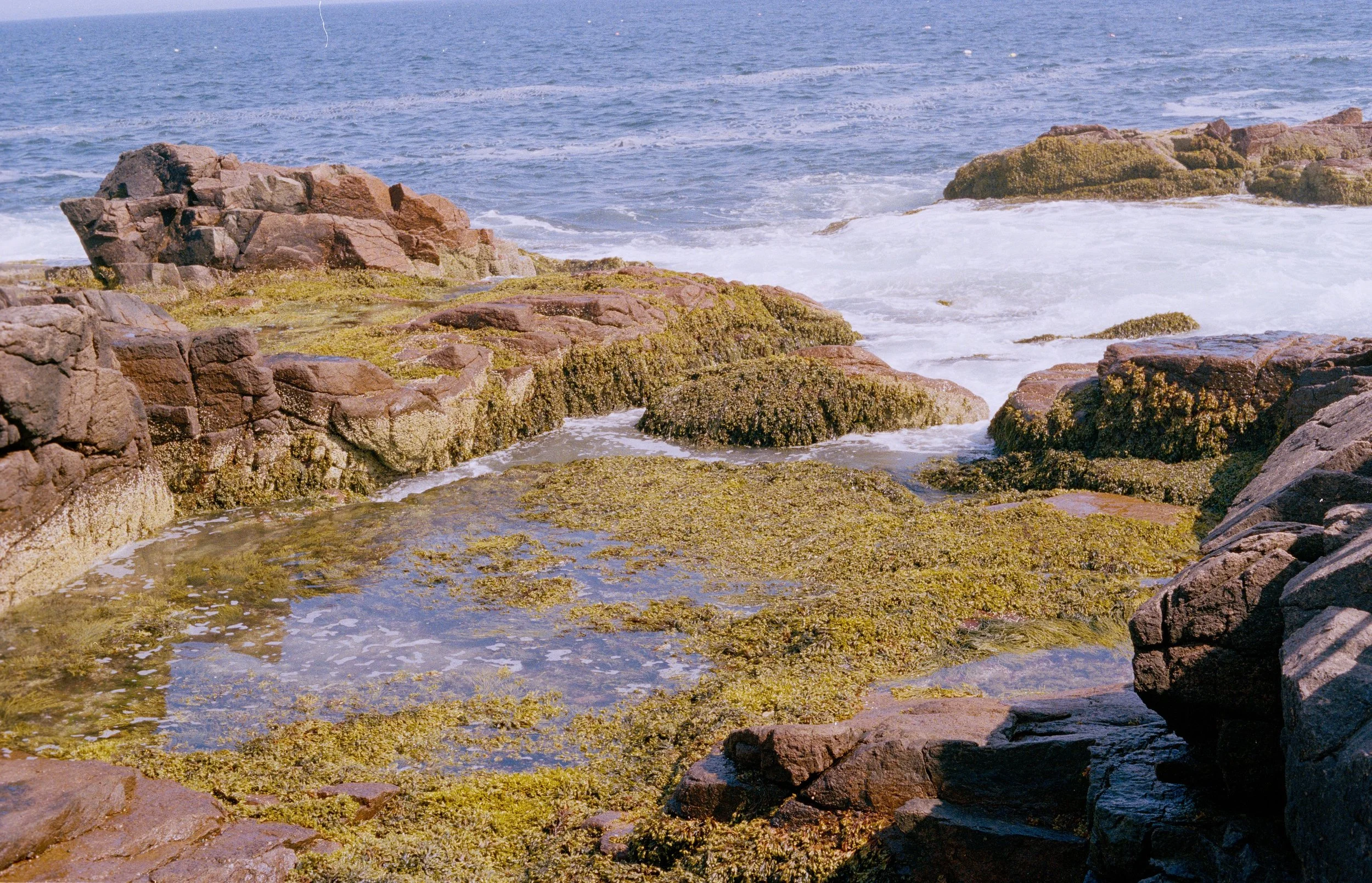 Tide Pool, from New Eden, 35mm color film photograph. 2025