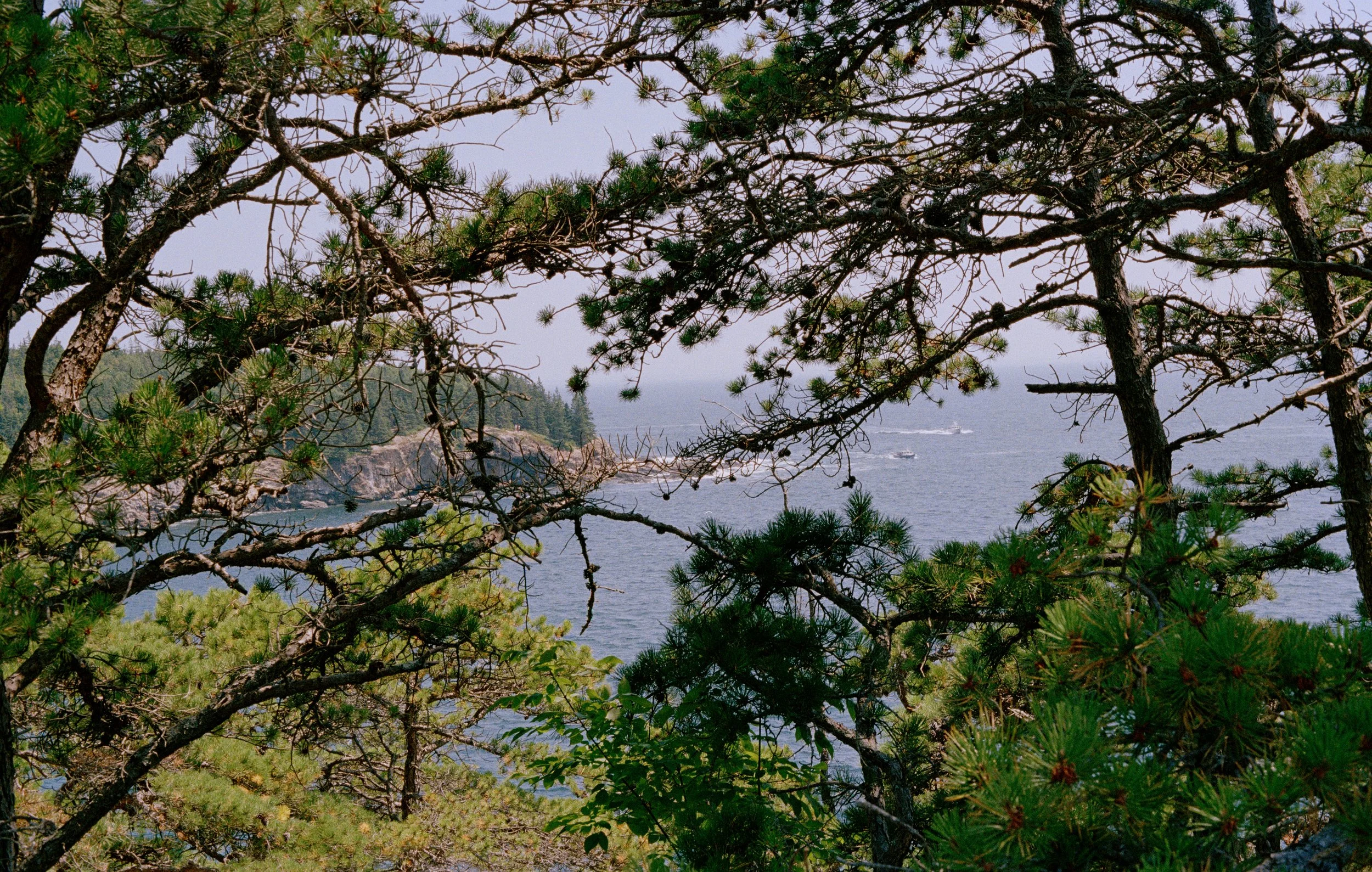 Untitled, from New Eden, 35mm color film photograph. 2025