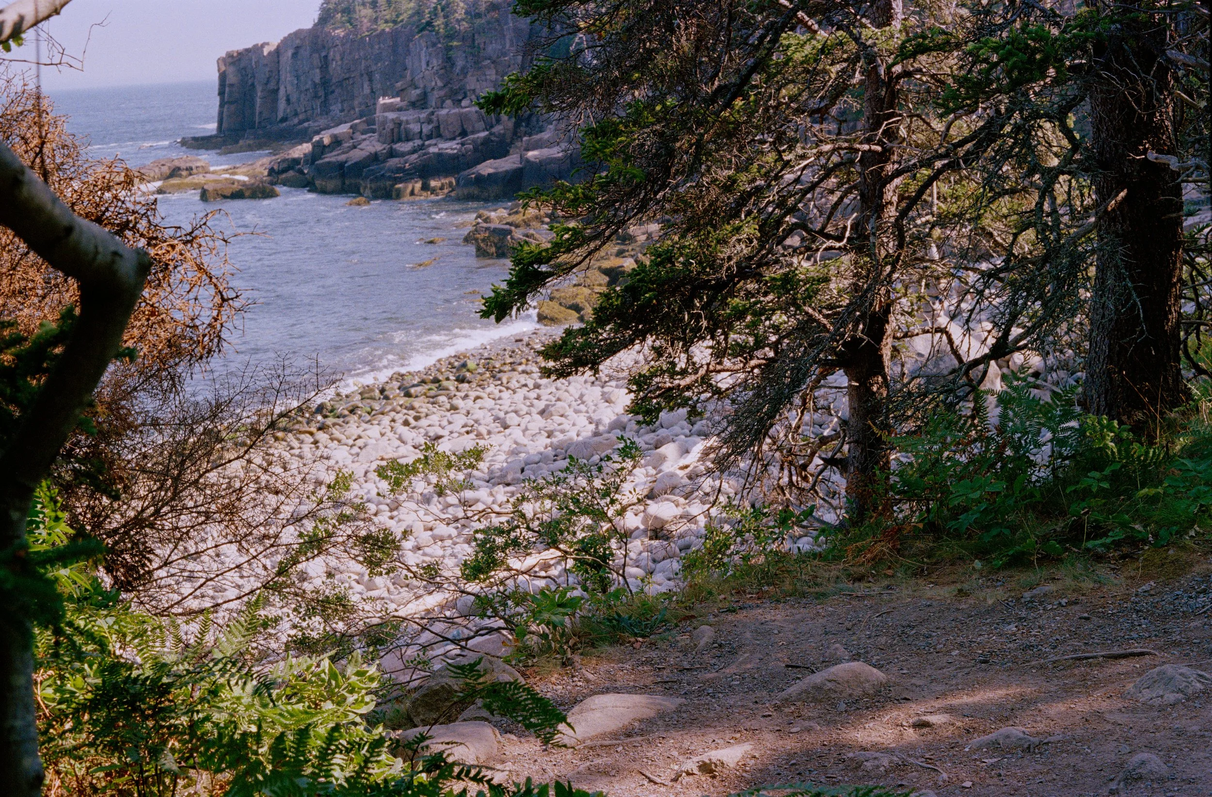 Untitled, from New Eden, 35mm color film photograph. 2025