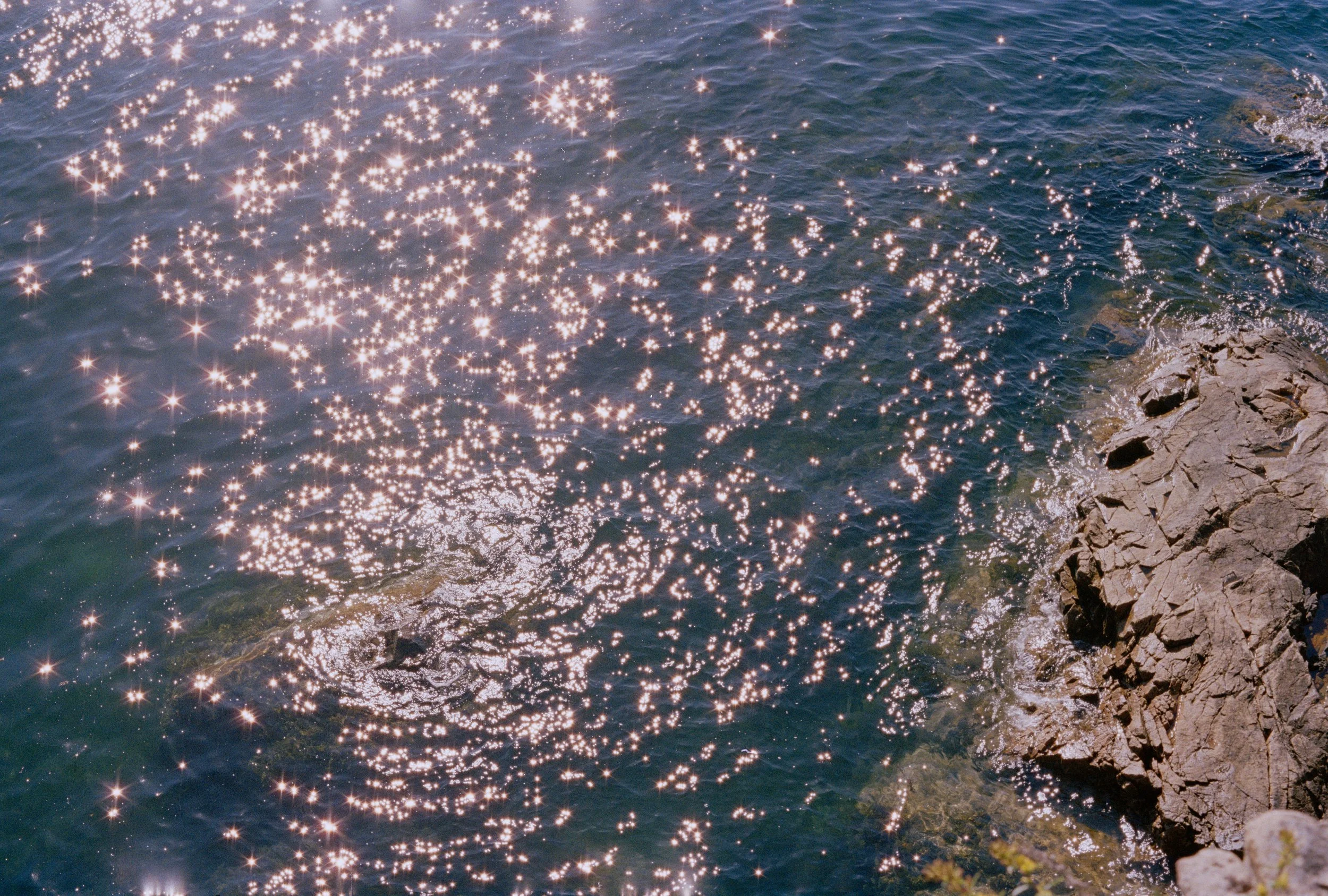 Untitled, from New Eden, 35mm color film photograph. 2025