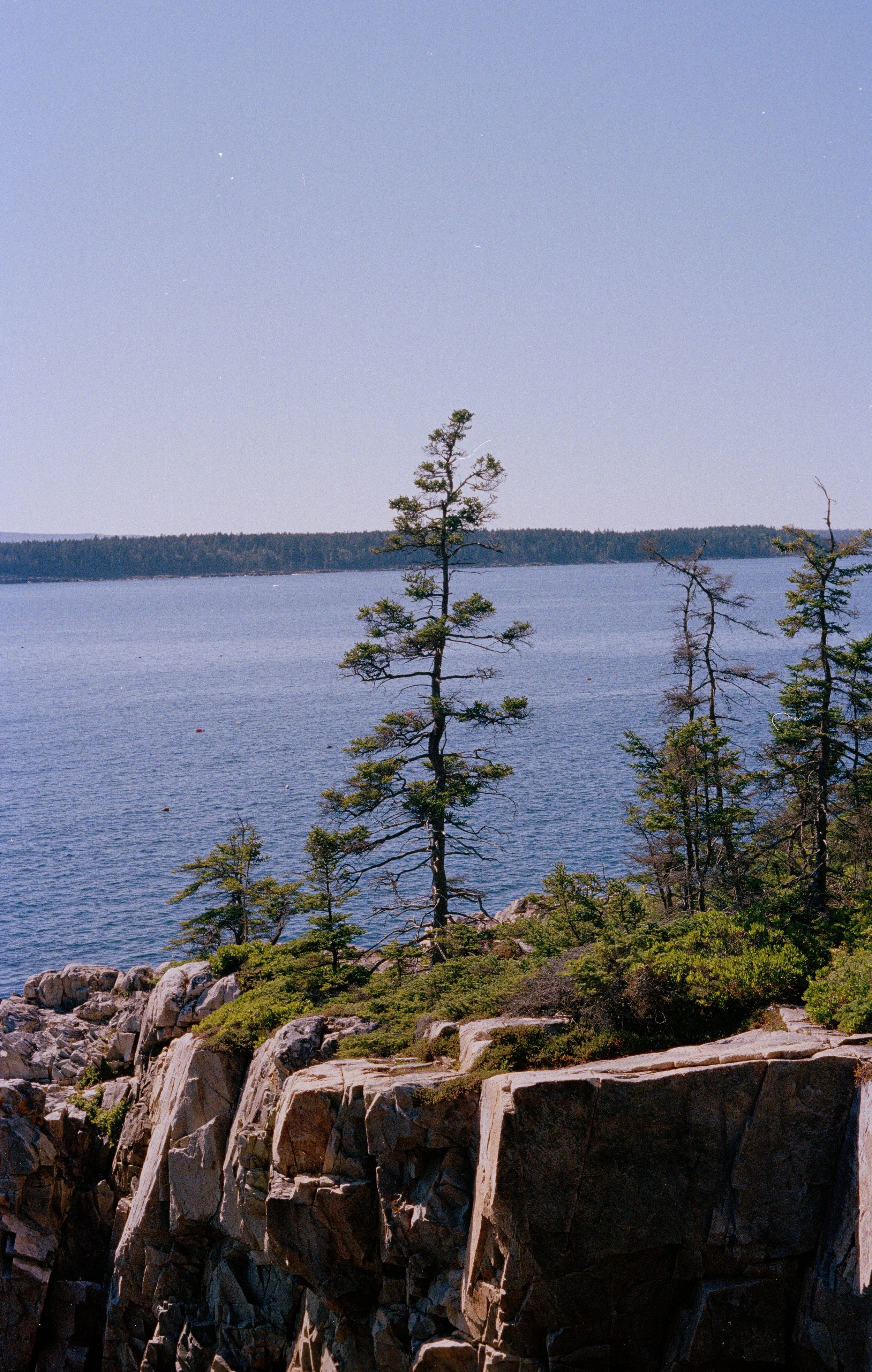 Untitled, from New Eden, 35mm color film photograph. 2025