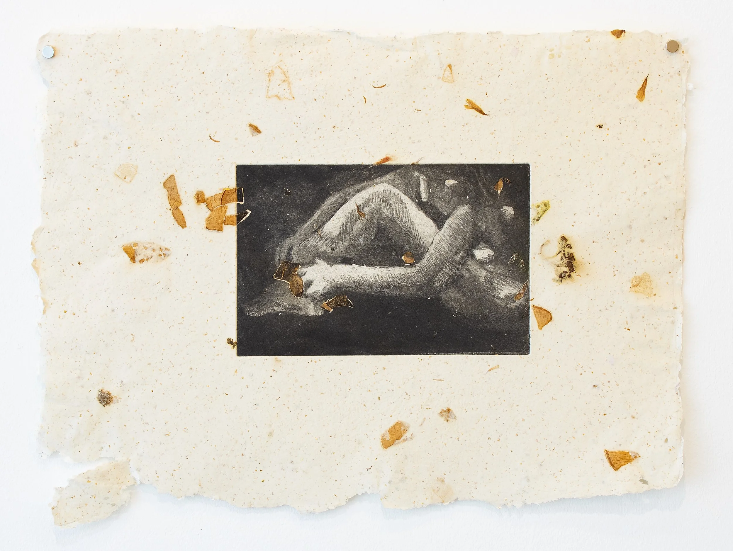 Suture, Etching on Handmade Paper. 2025