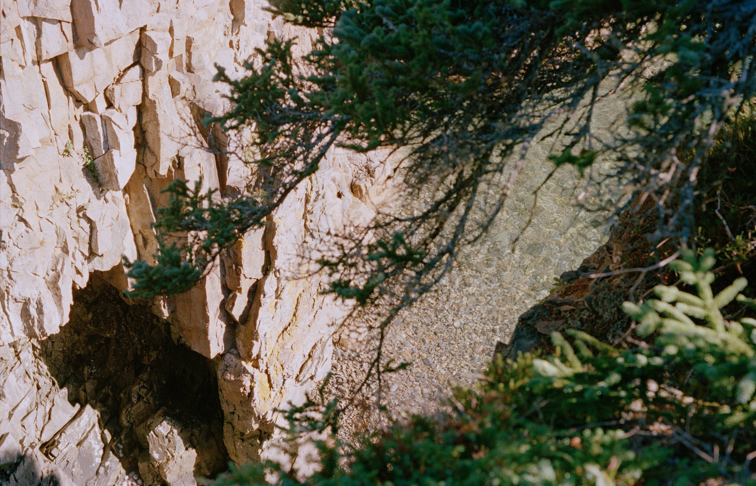 Raven's Nest, from New Eden, 35mm color film photograph. 2025