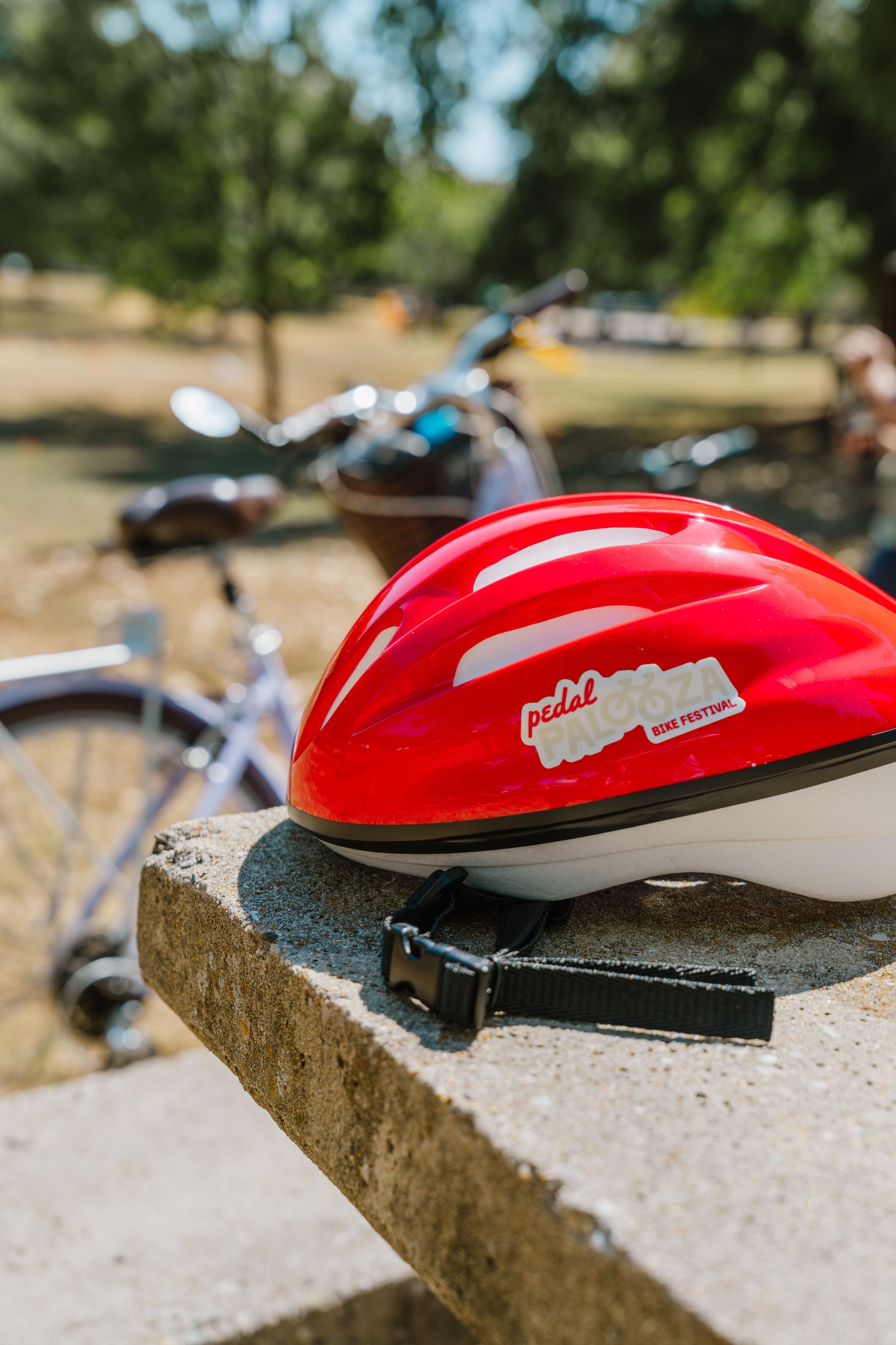 Pedal Palooza-7.jpg
