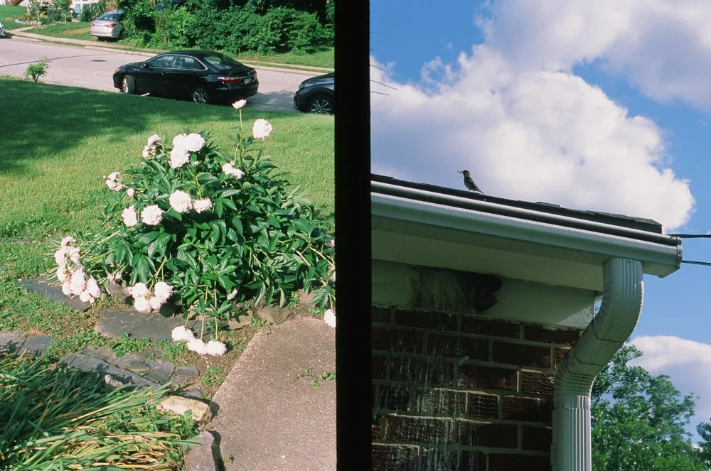Selected photograph 31