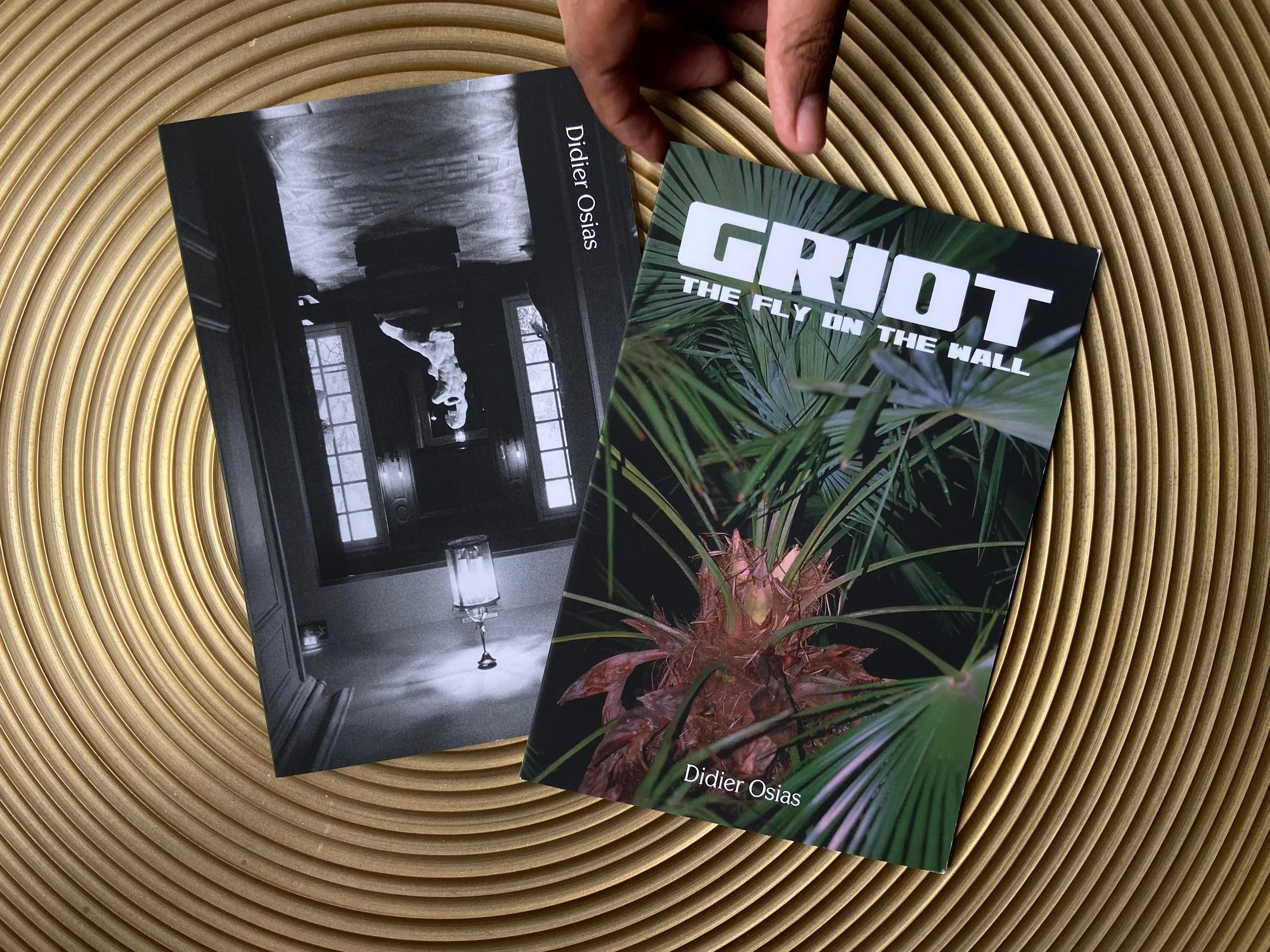 GRIOT: THE FLY ON THE WALL project image 1