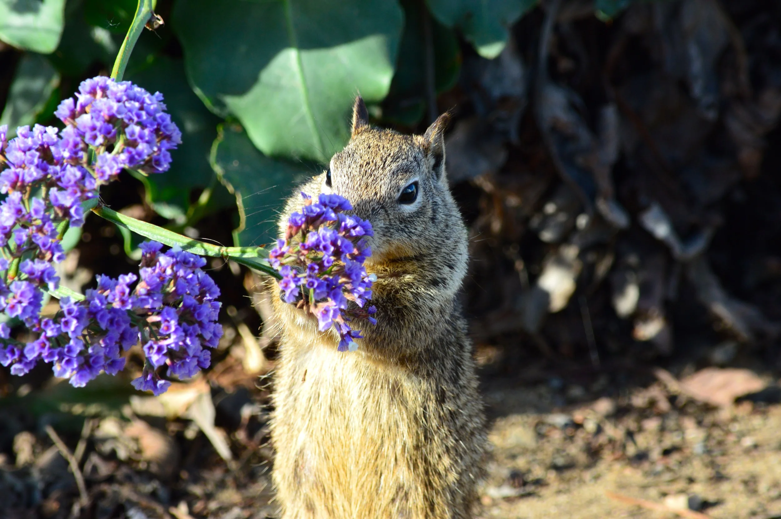 Detaching From the Outcome