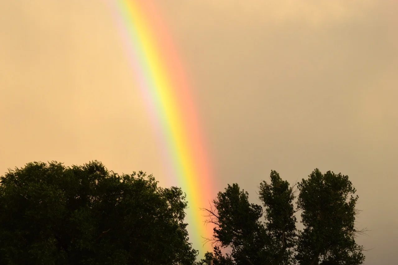 Punching Fear in the Face