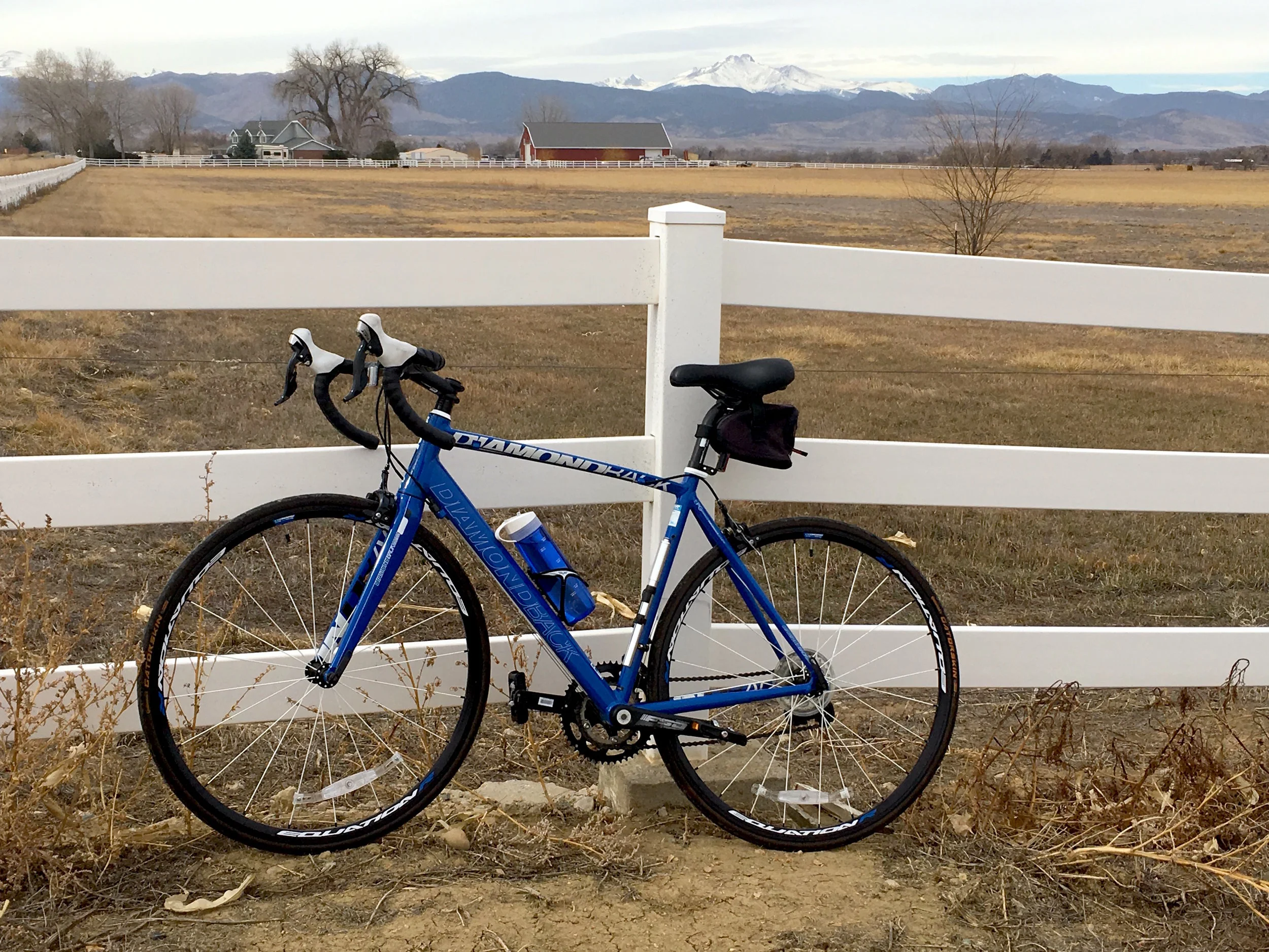 Pedaling Forward