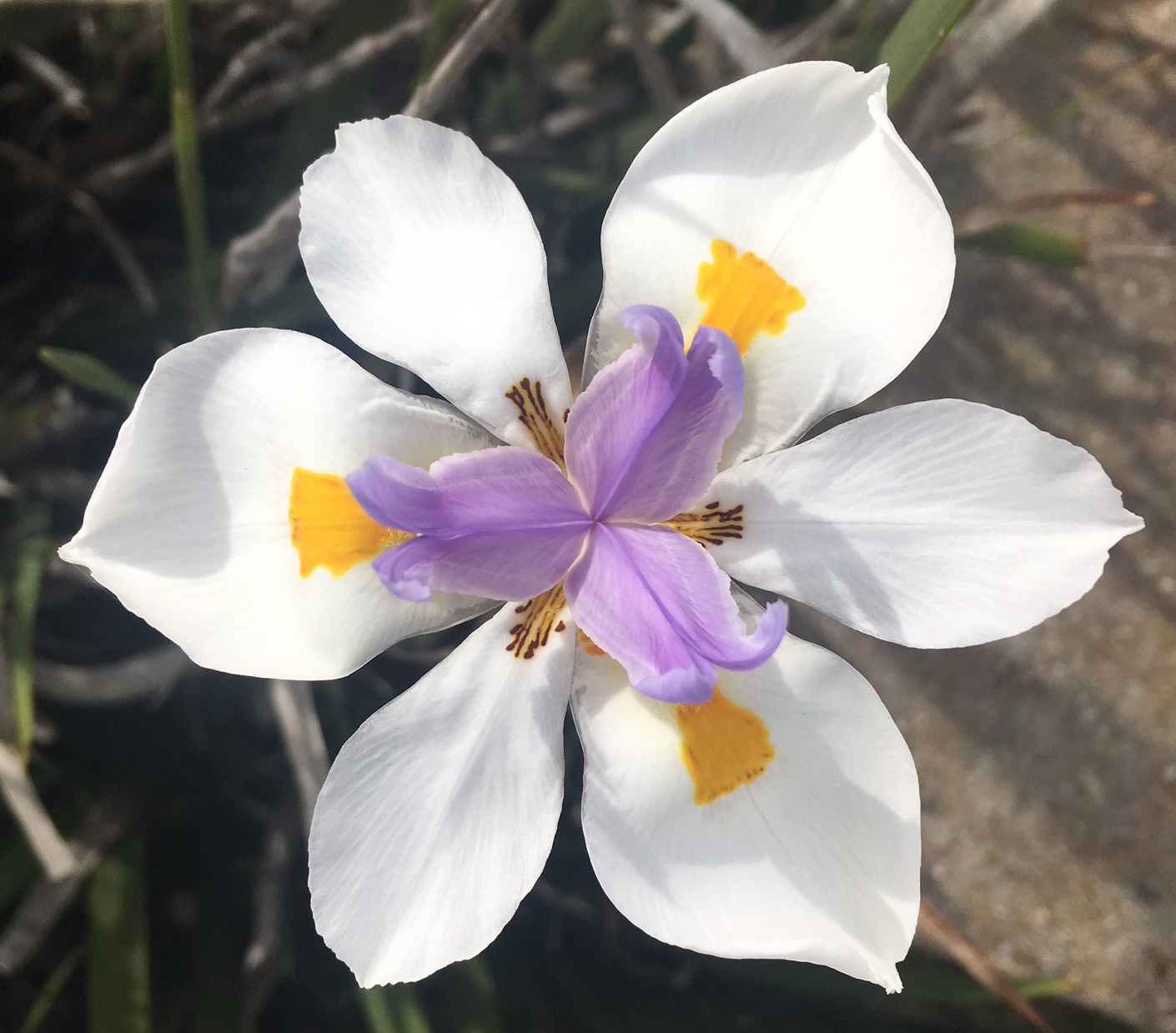 Embracing Grace