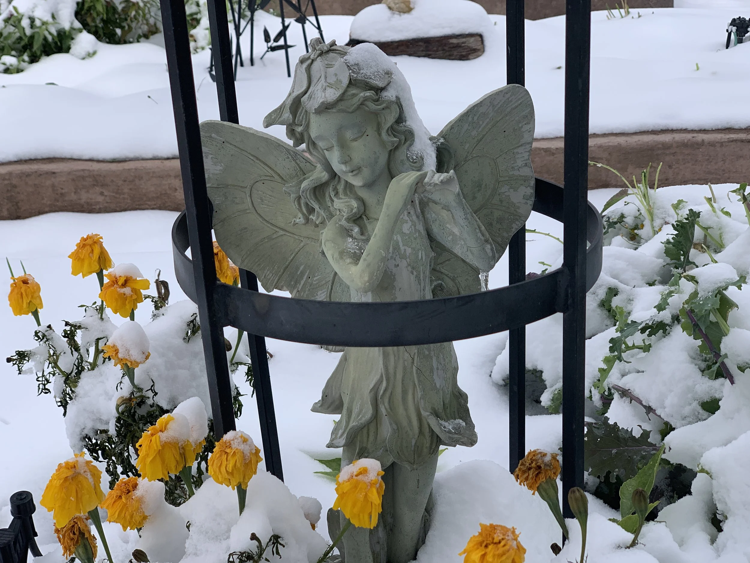 Changing Perspectives