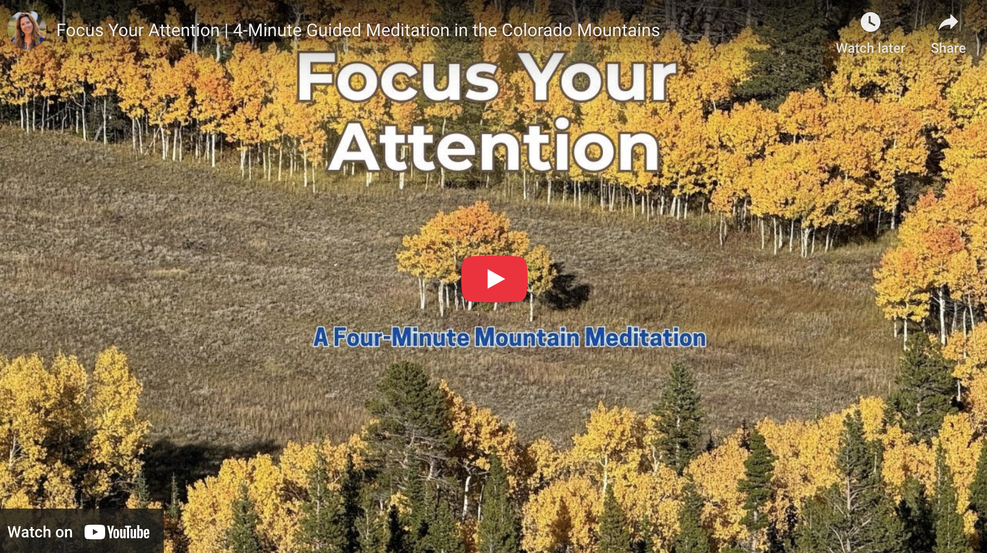 Getting Your Attention