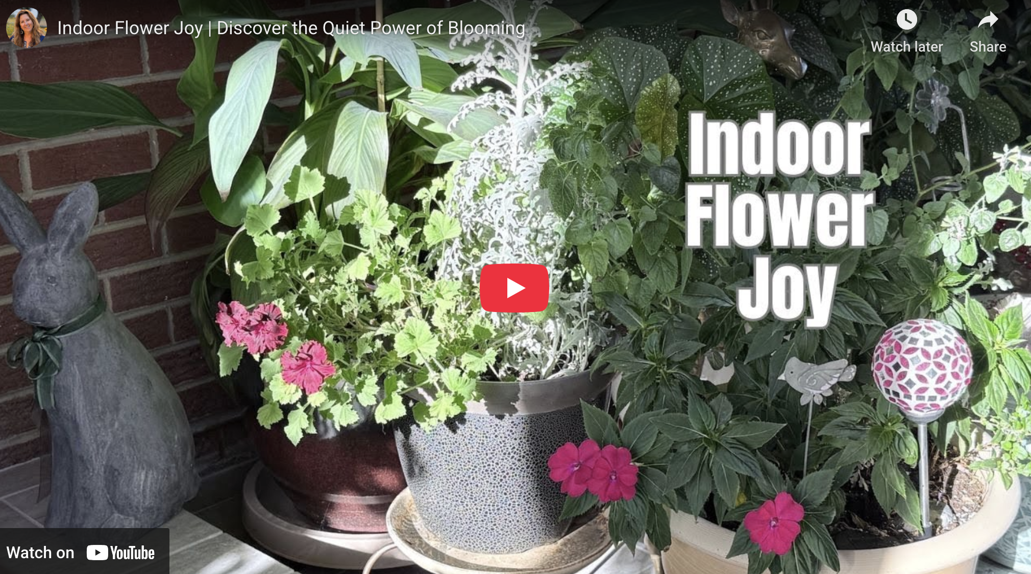 Cognitive Power of Flowers 