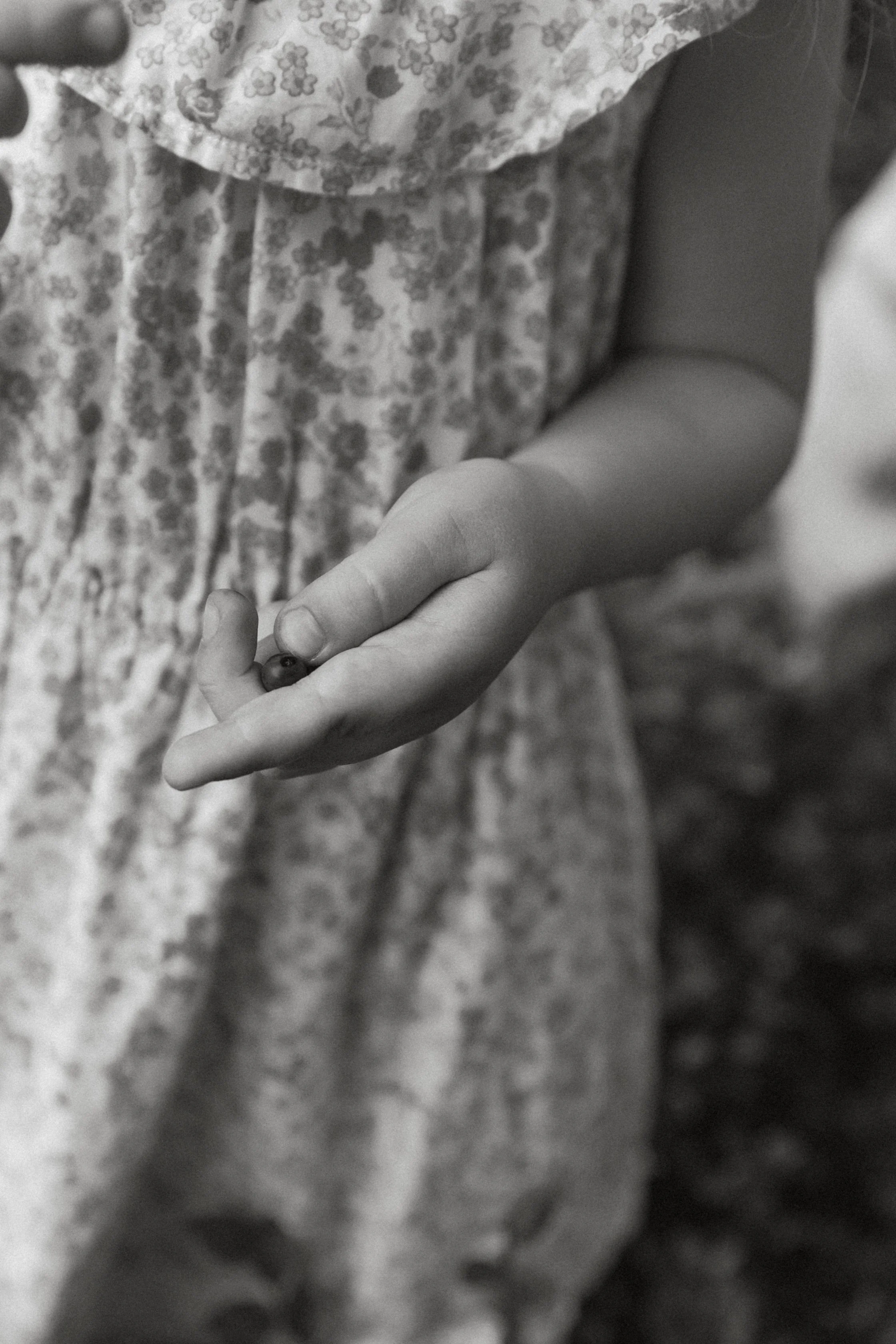 050A7858.jpg