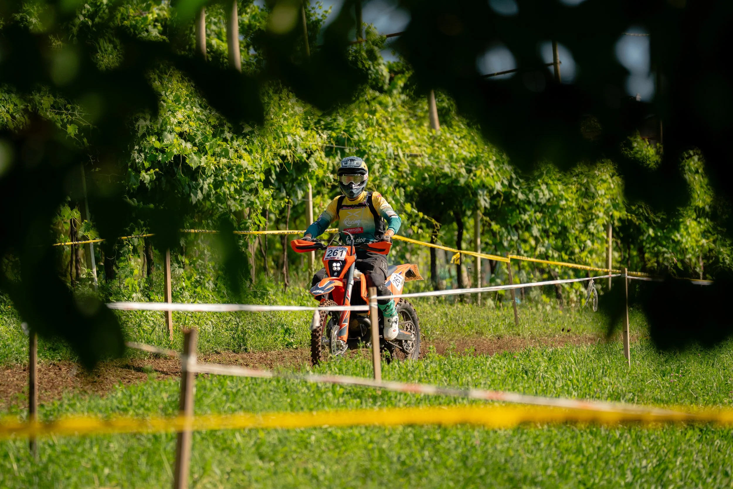 Moto_1-7.jpg