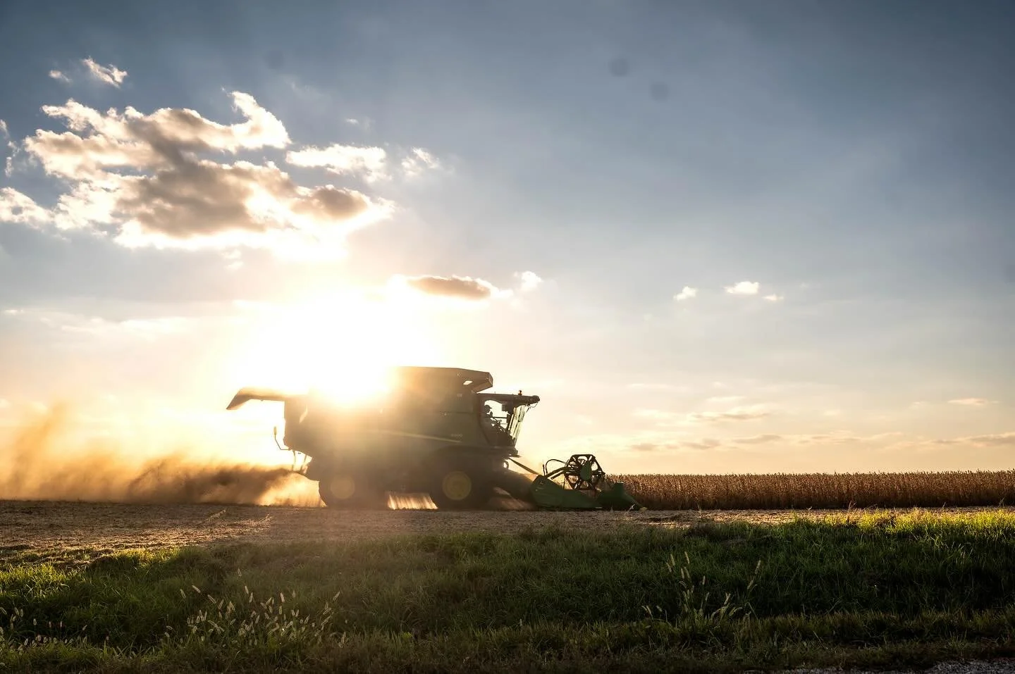 In the thick of it... literally and figuratively. A liiiiiitle more rain would be great. Bean dust for days. Grab your inhaler and get to the field 😉😂