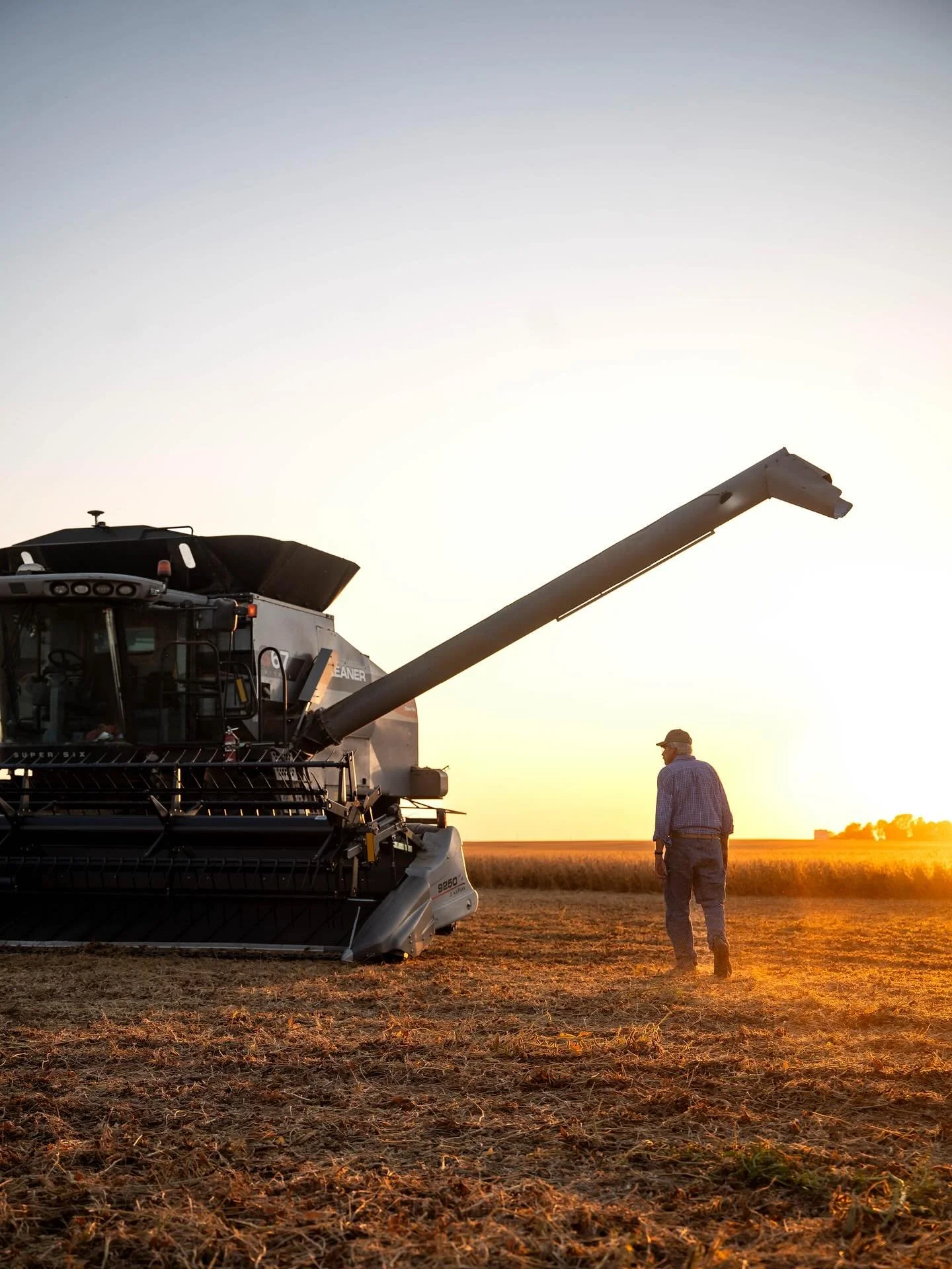When golden hour is showing off 🙌🏻✨