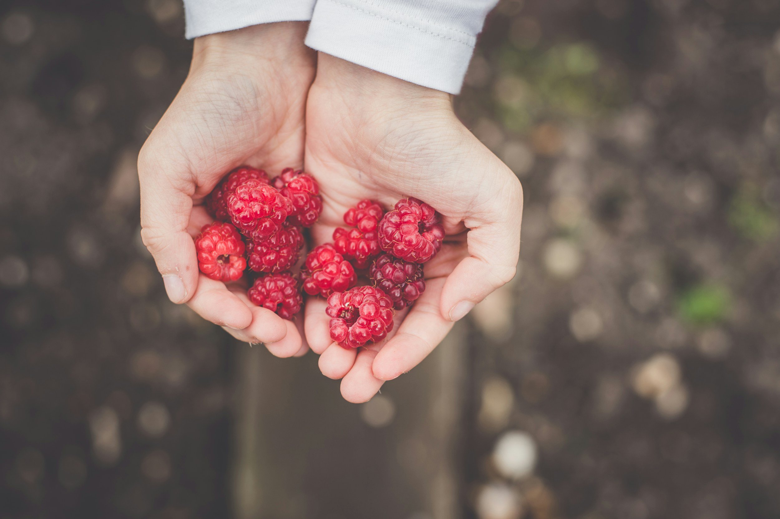 Raspberries