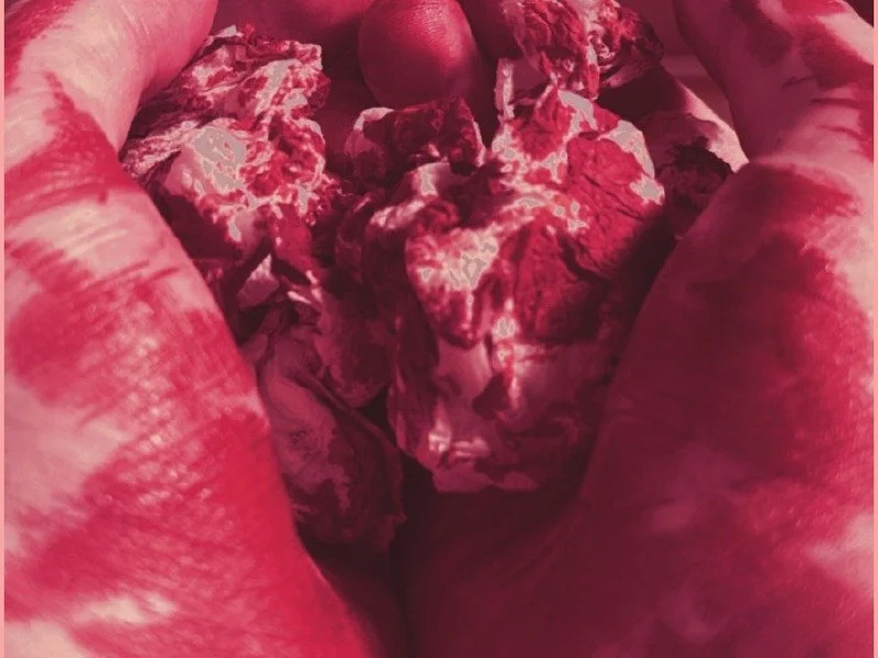 Robert Finegan - Confined in One's Skin