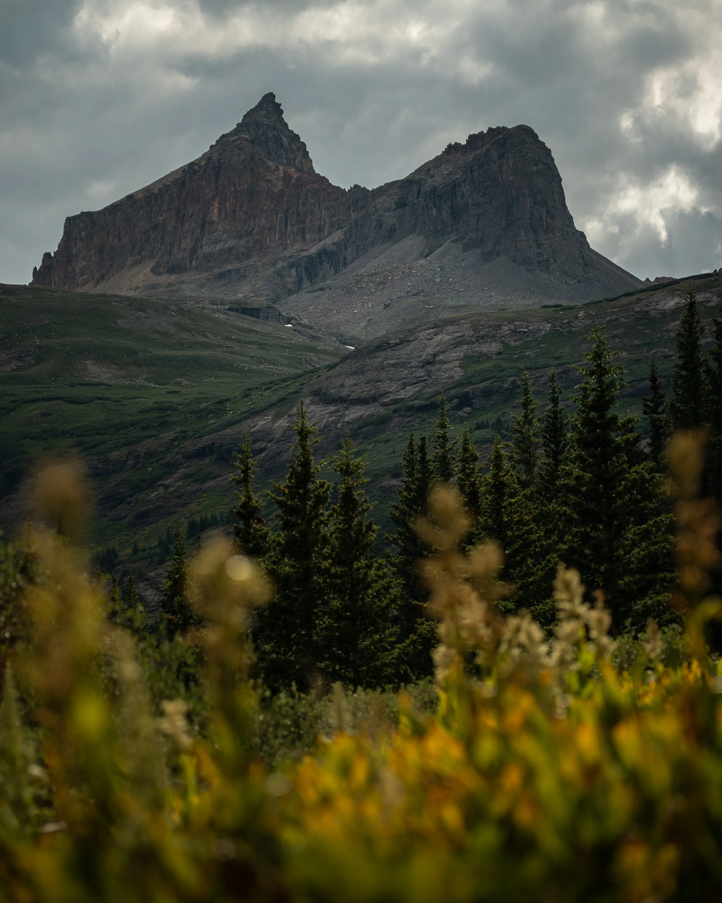 DSC09813-2.jpg