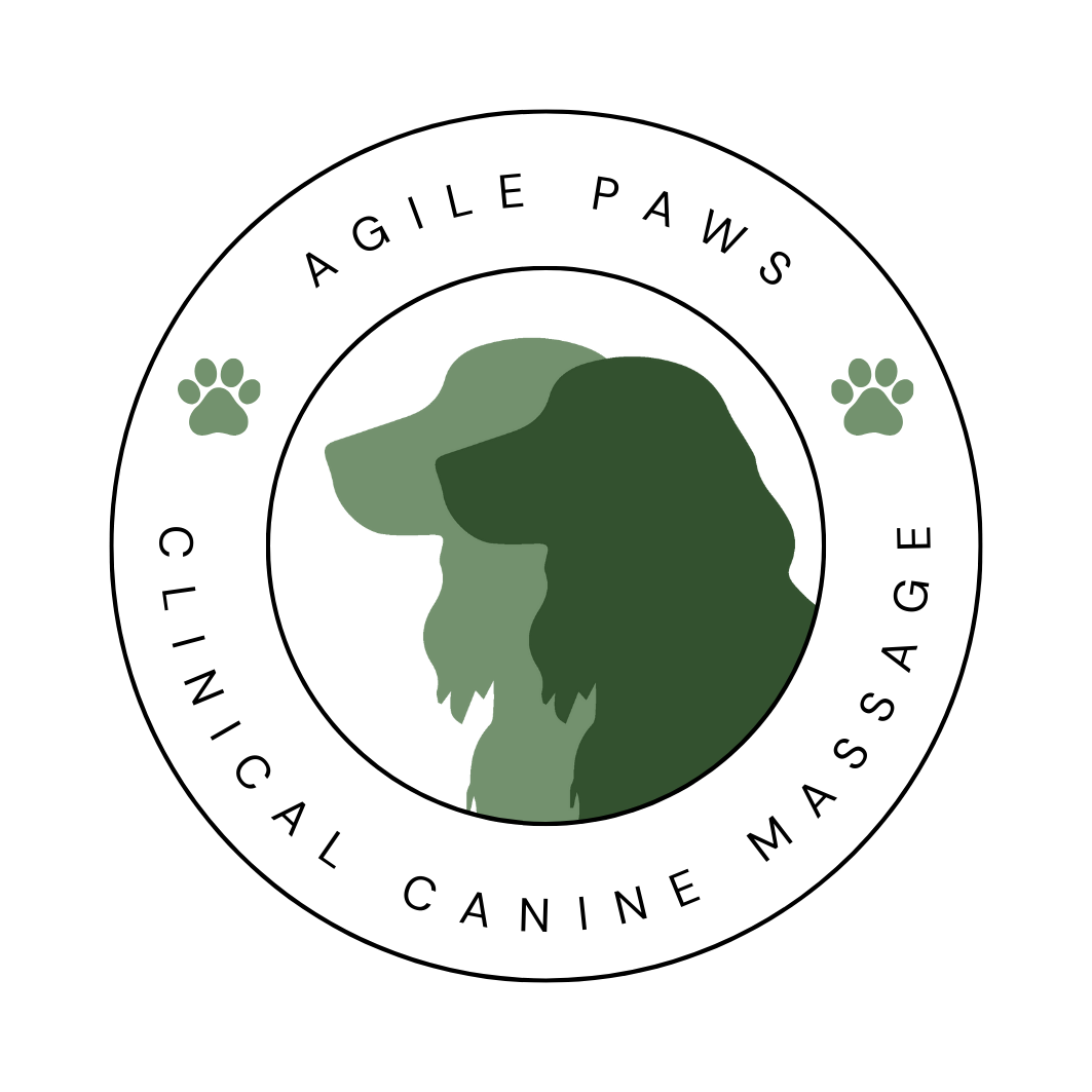 Agile Paws