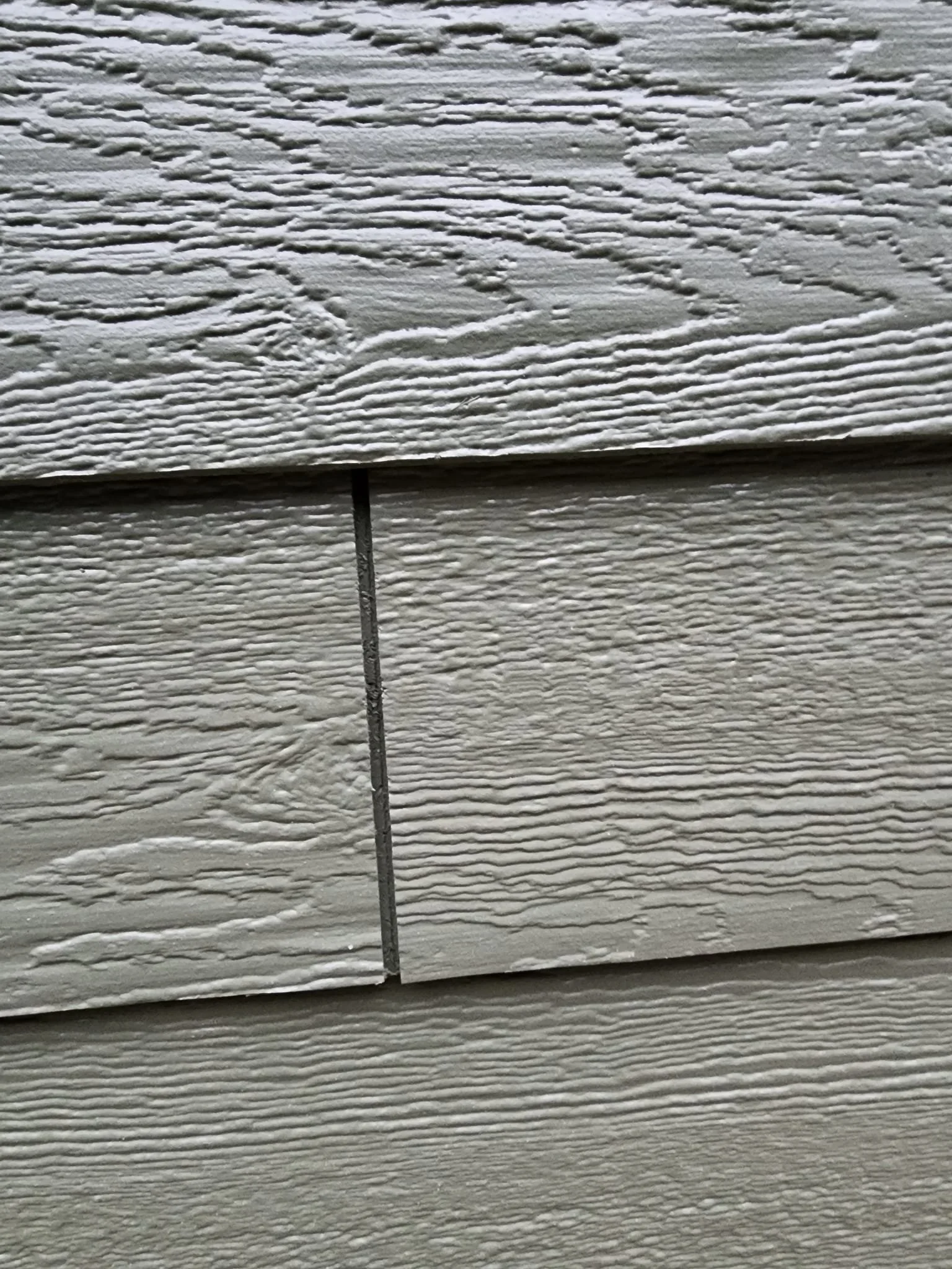 366354902_262472246537361_1111134035066120167_n.webp