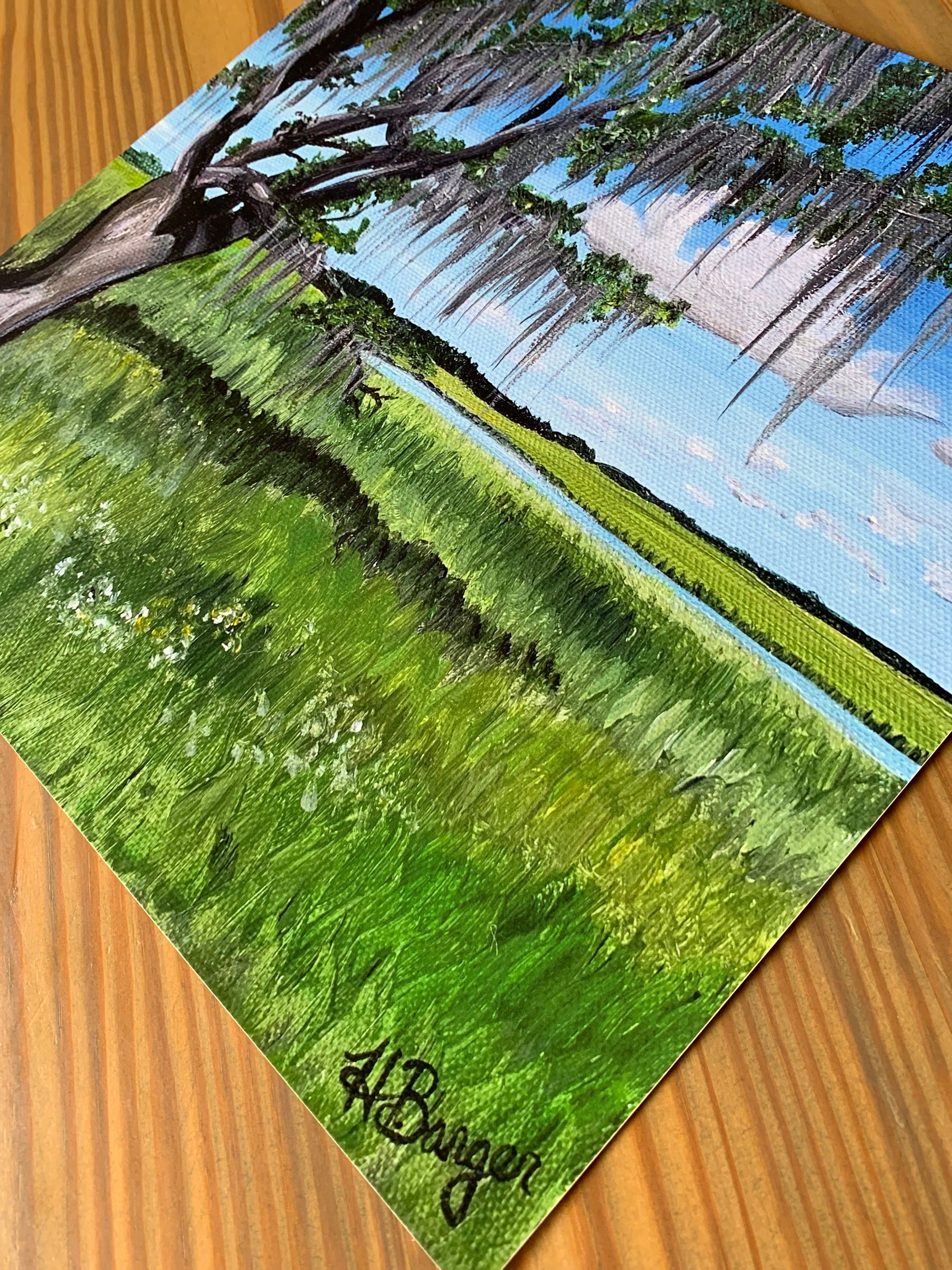 https://i.etsystatic.com/24289844/r/il/0305f4/4665895055/il_fullxfull.4665895055_4t7k.jpg
